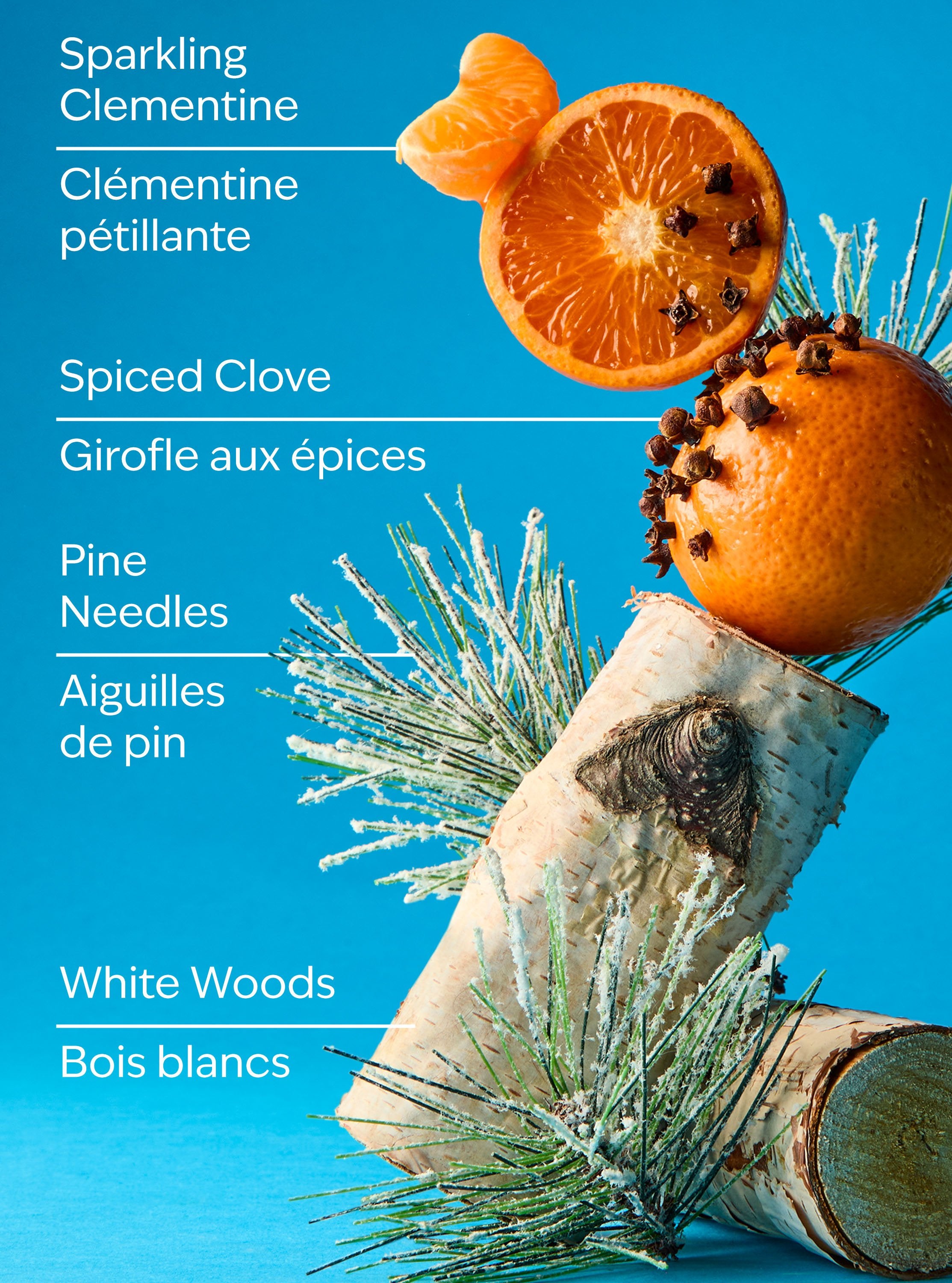 Winter Gentle & Clean Foaming Hand Soap