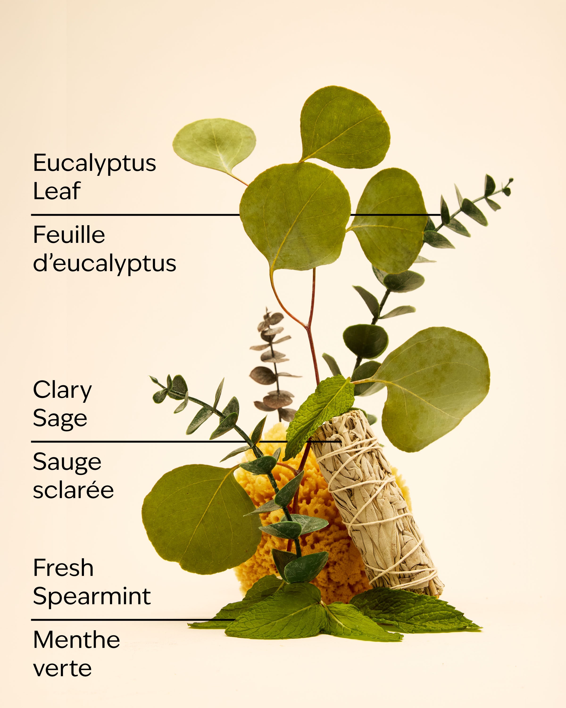 Eucalyptus Spearmint Mini Gift Set