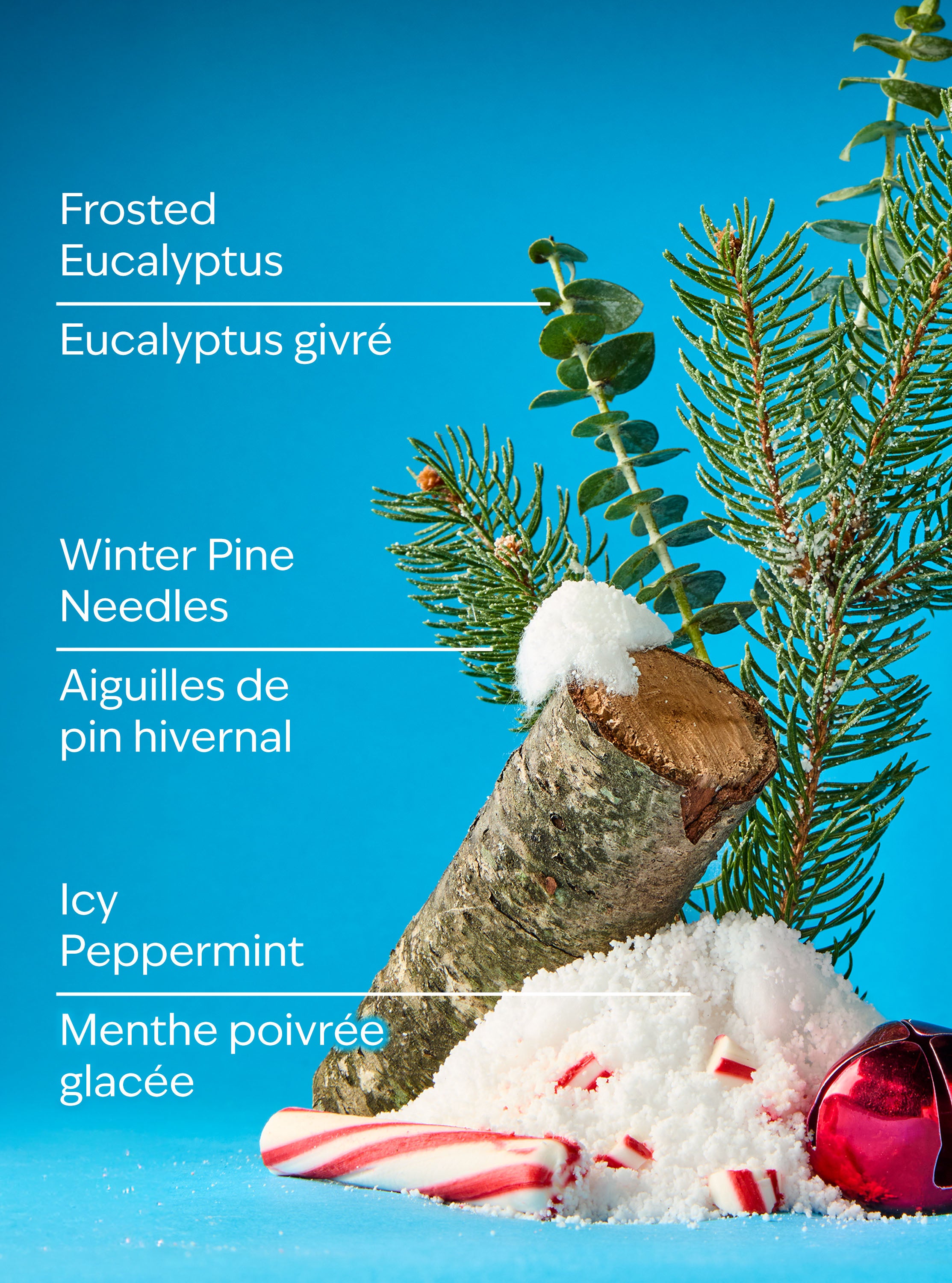 Frosted Forest Gentle & Clean Foaming Hand Soap