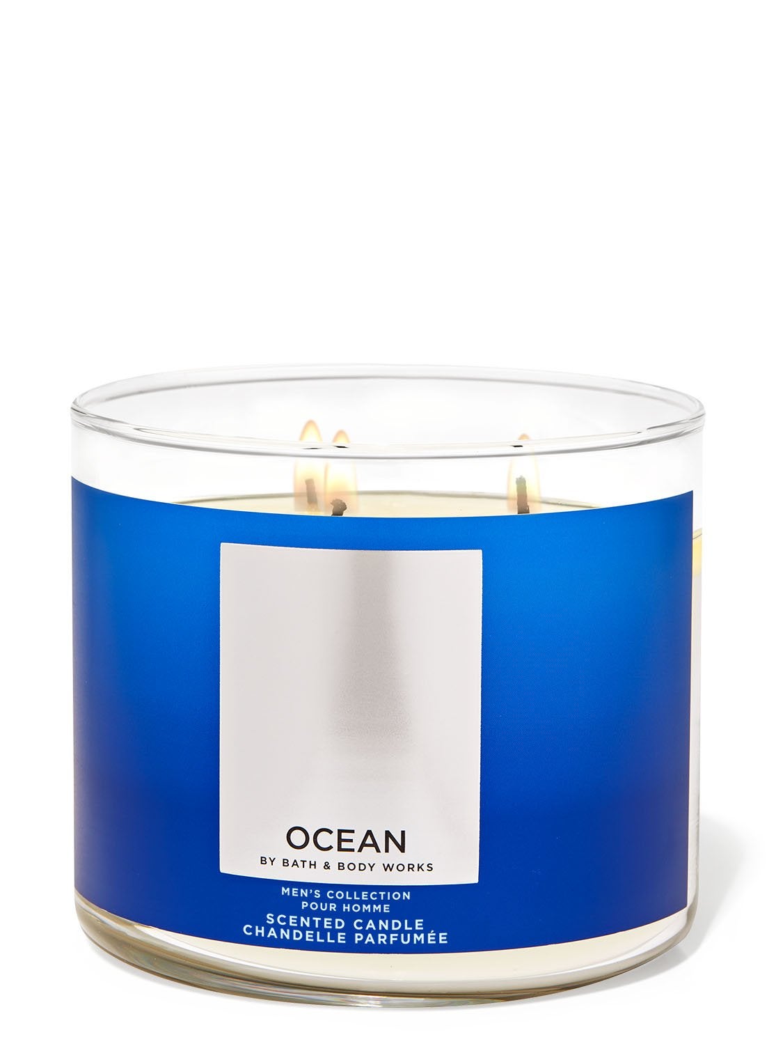 Ocean 3Wick Candle Bath and Body Works