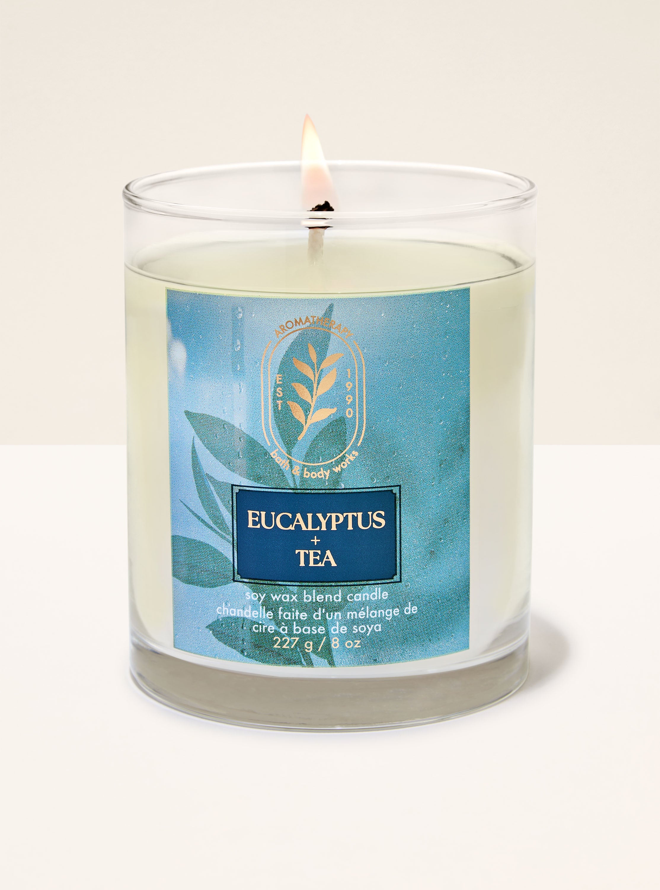 Eucalyptus + Tea Single Wick Candle