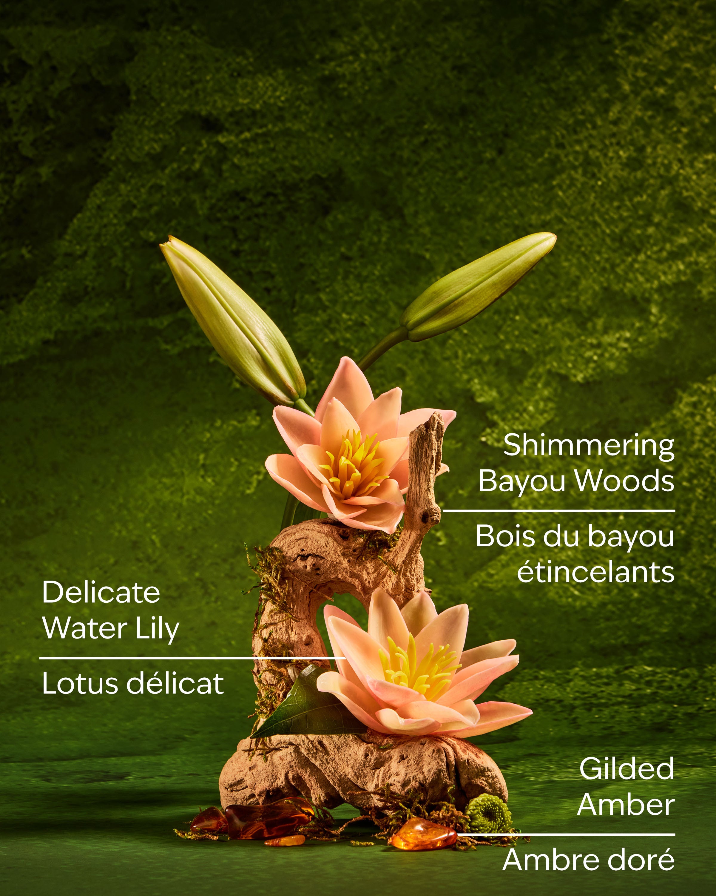 Tiana Travel Size Fine Fragrance Mist