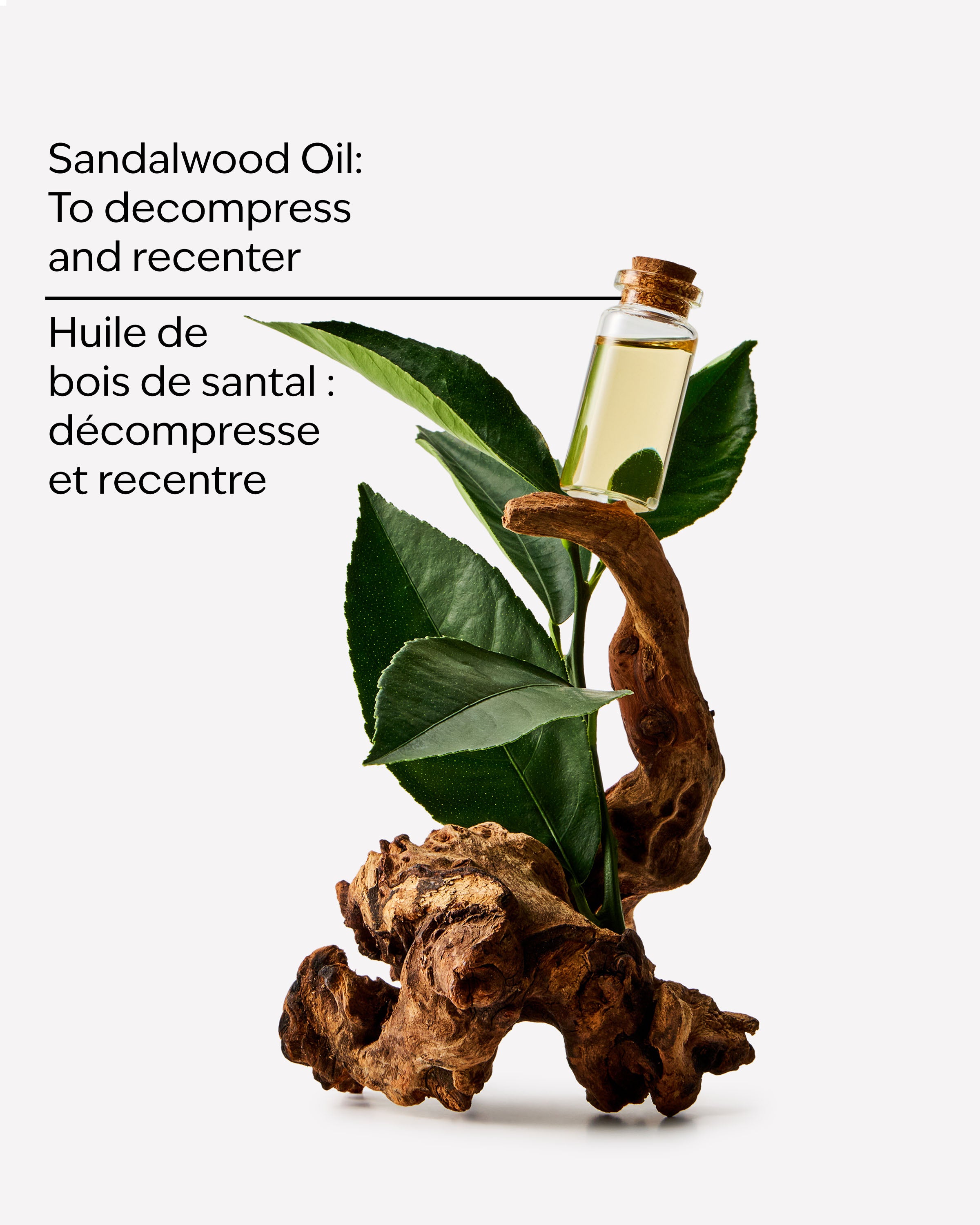 Lotion pour le corps hydratante Sandalwood