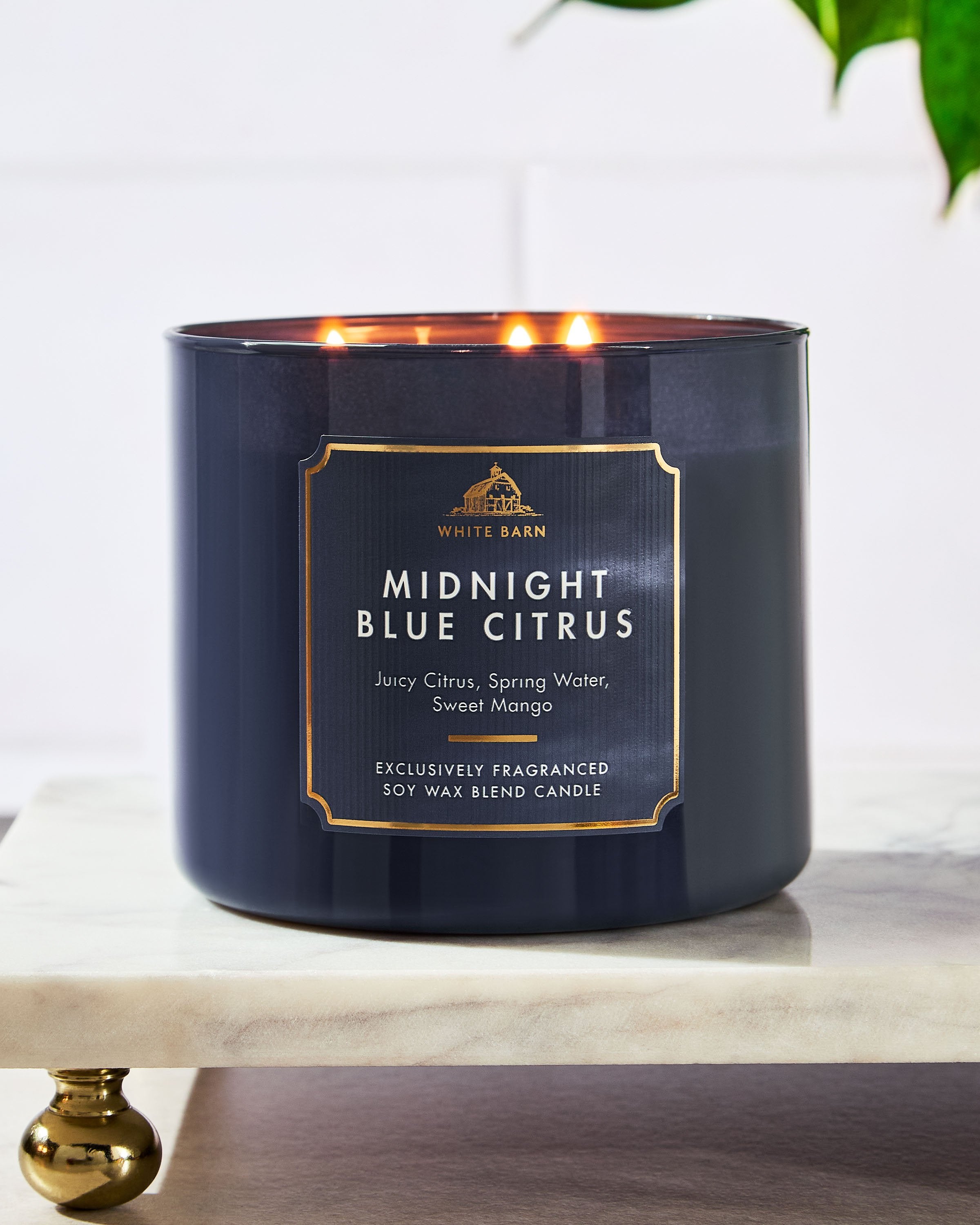 Midnight Blue Citrus 3-Wick Candle