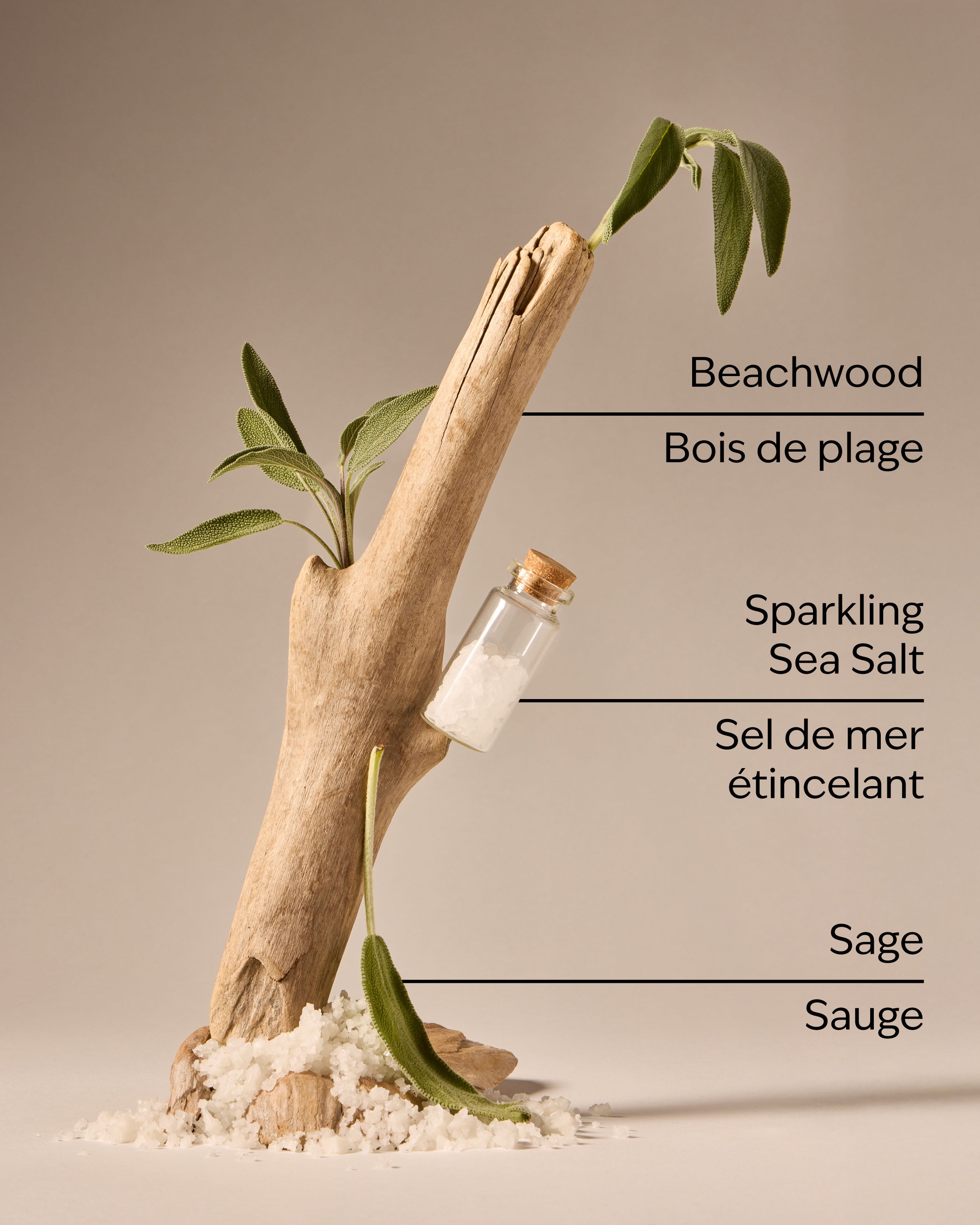 Sea Salt & Beachwood Gentle & Clean Foaming Hand Soap