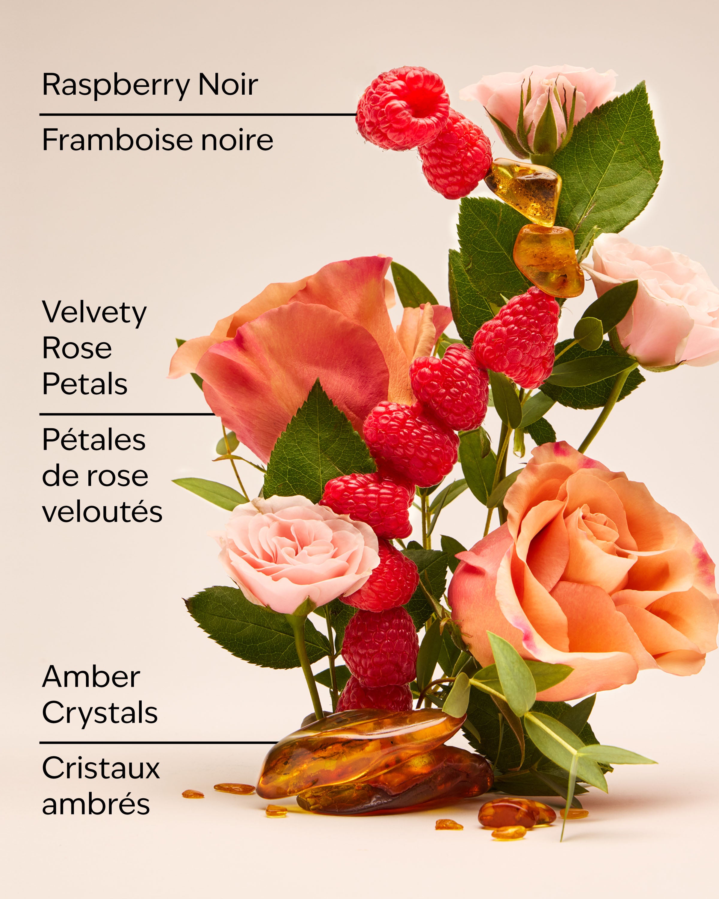 Into the Night Travel Size Fine Fragrance Mist