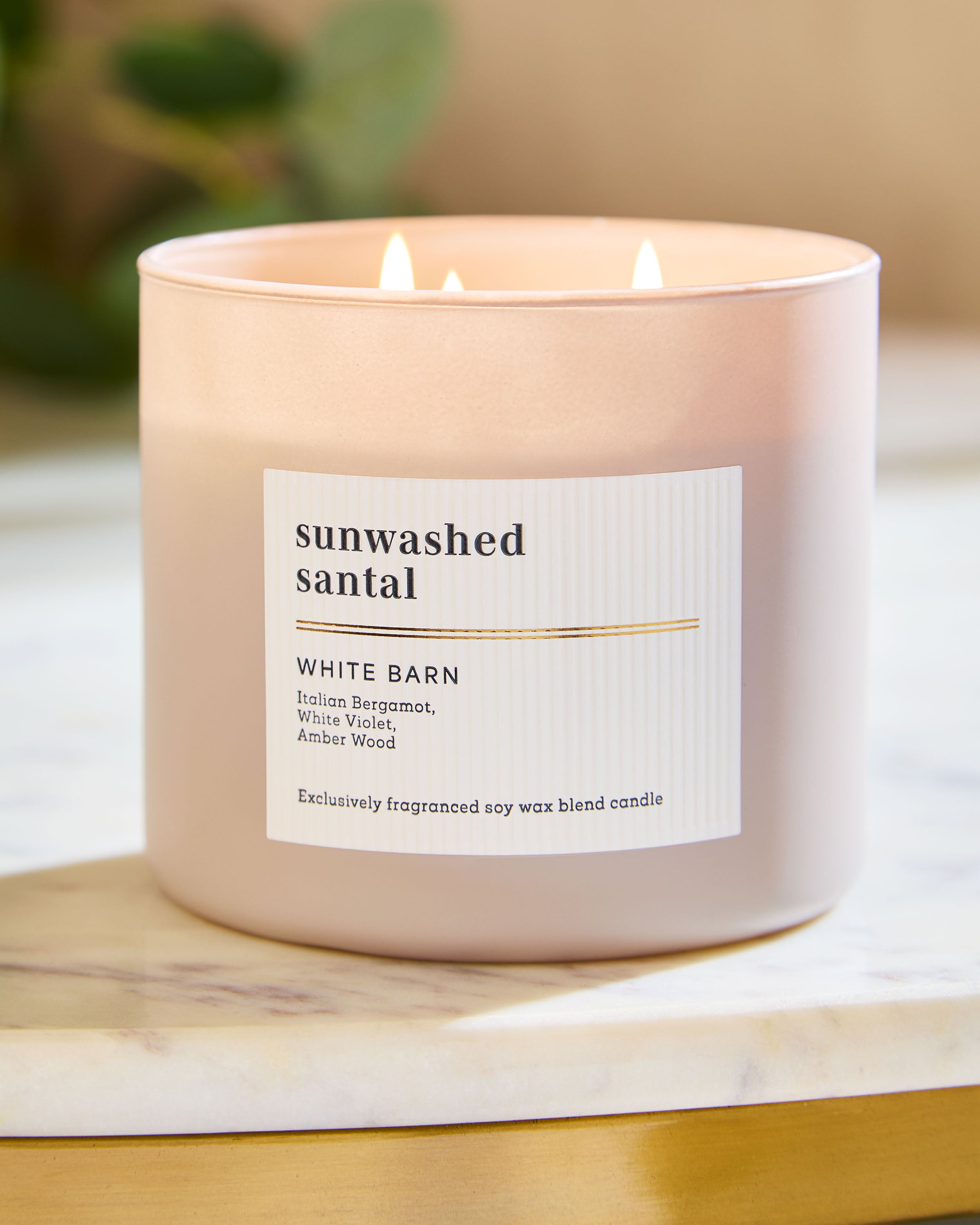 Sunwashed Santal 3-Wick Candle
