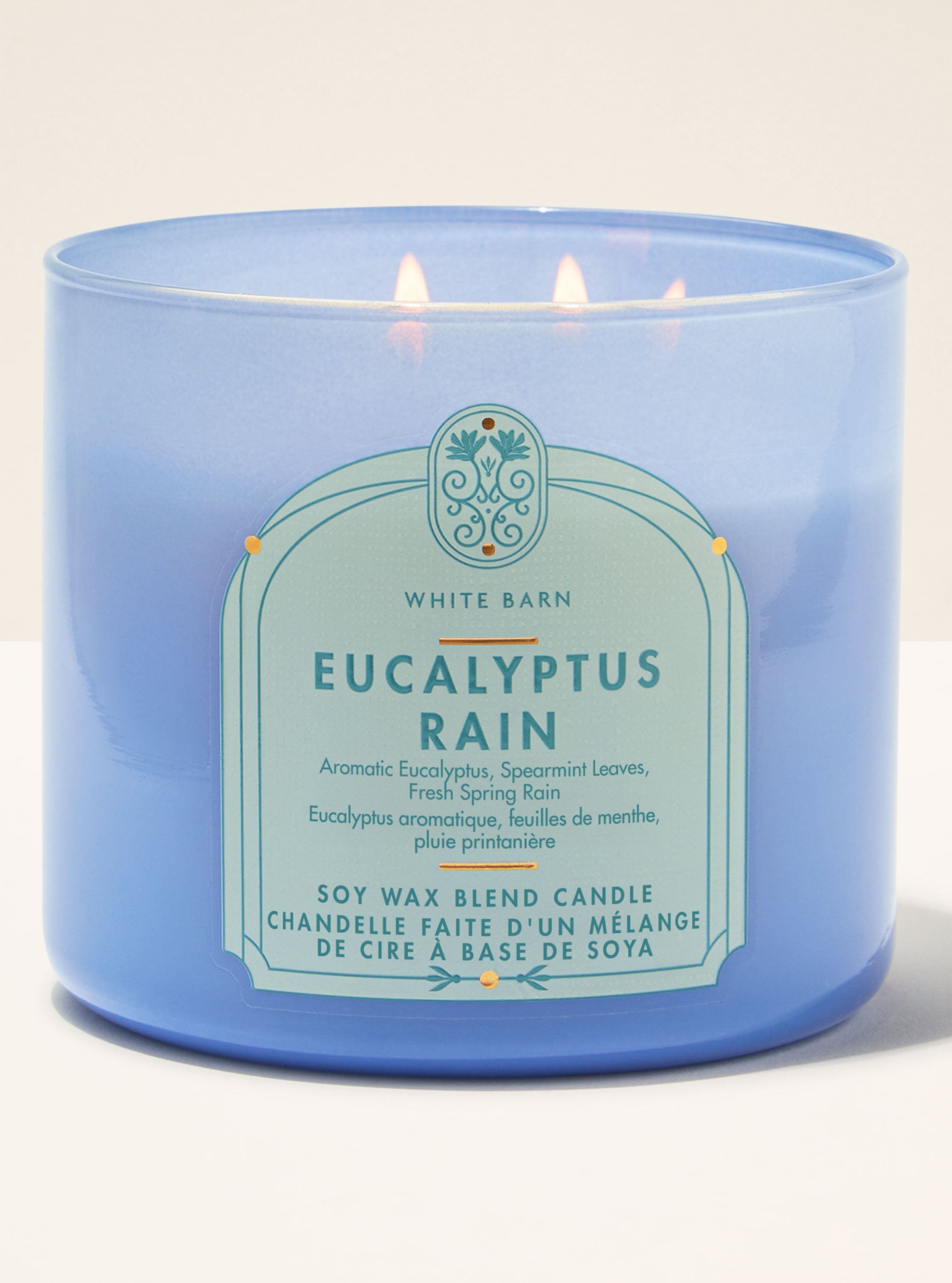 Eucalyptus Rain 3-Wick Candle