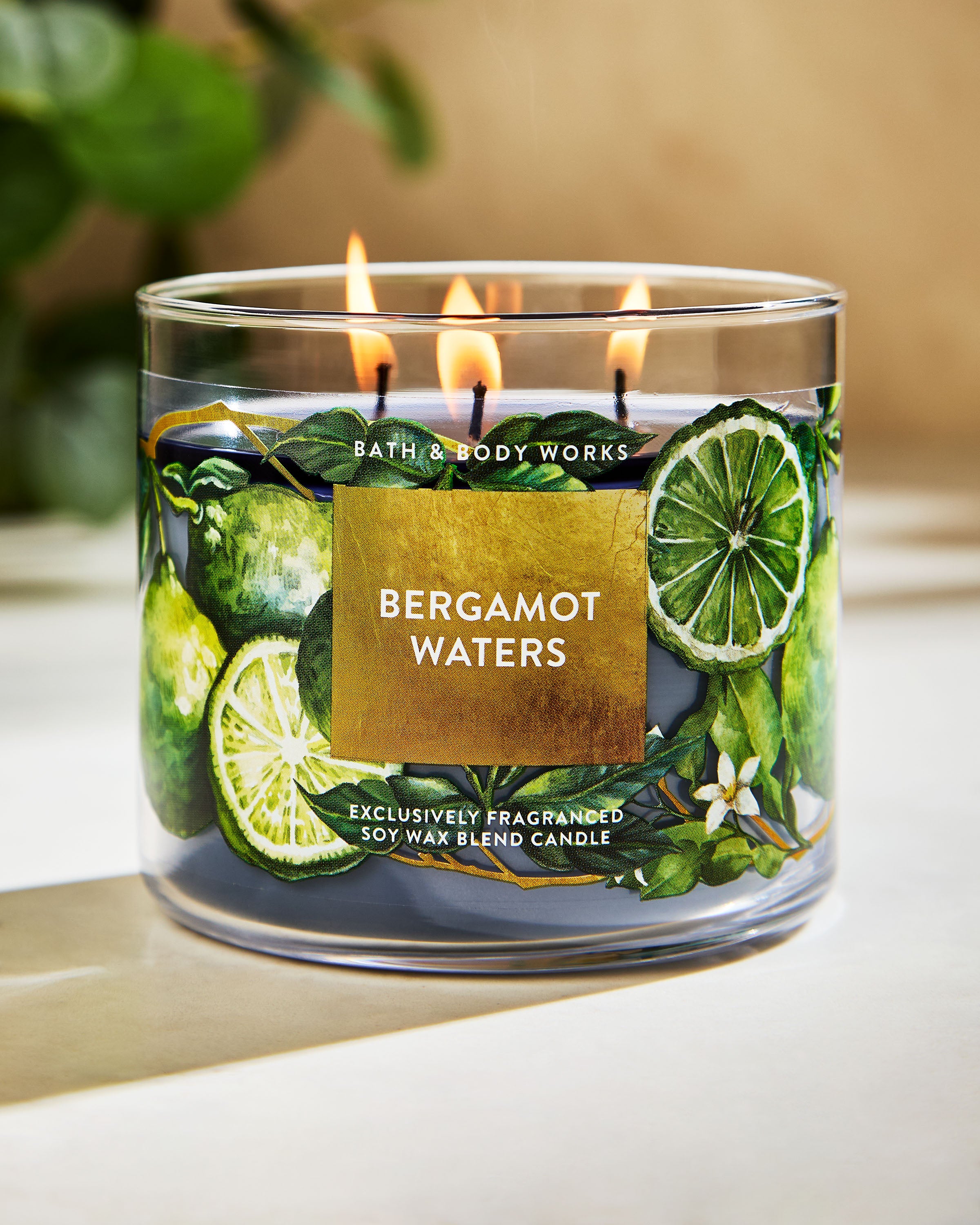Bergamot Waters 3-Wick Candle