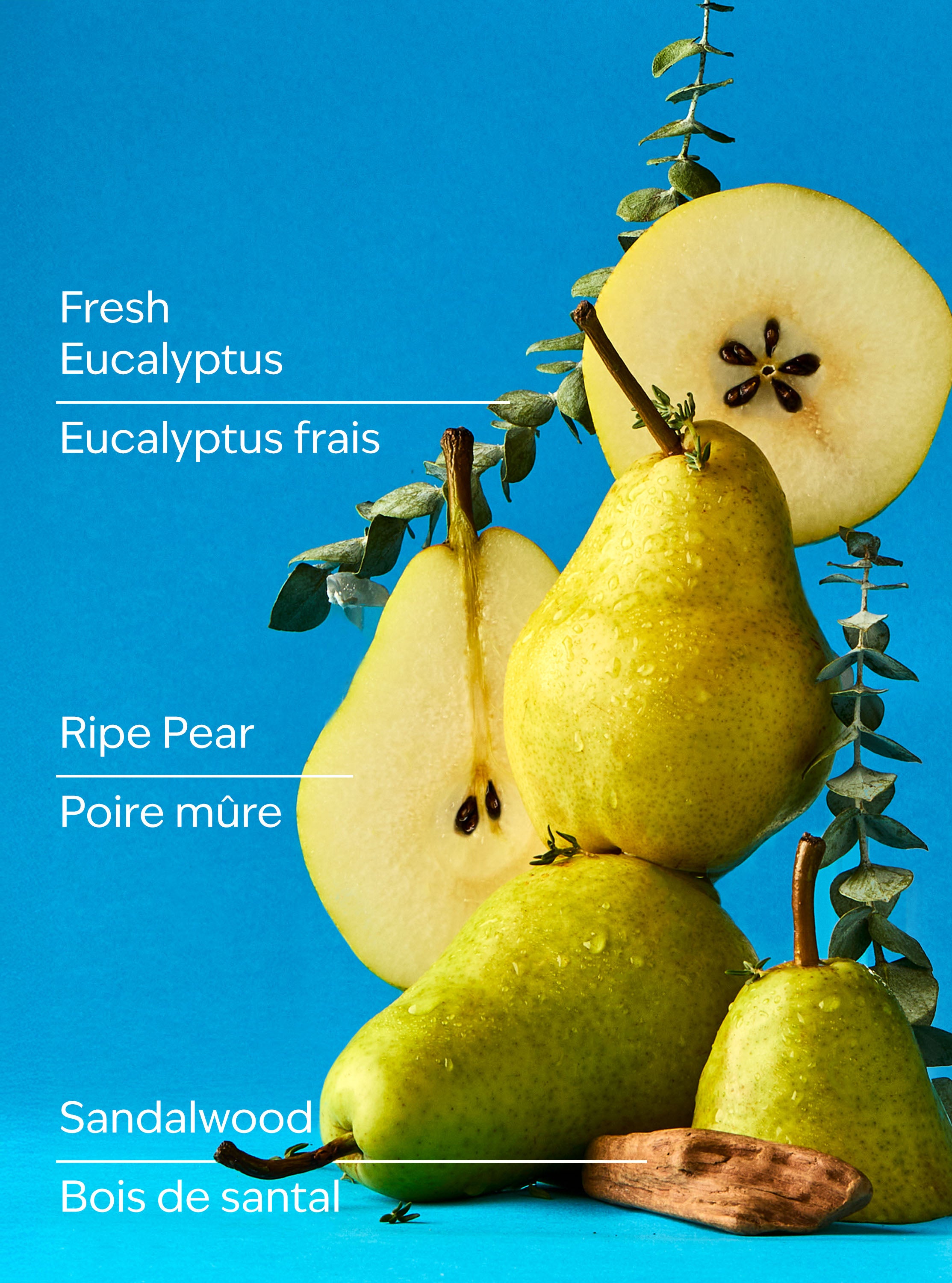 Falling Flurries 3-Wick Candle