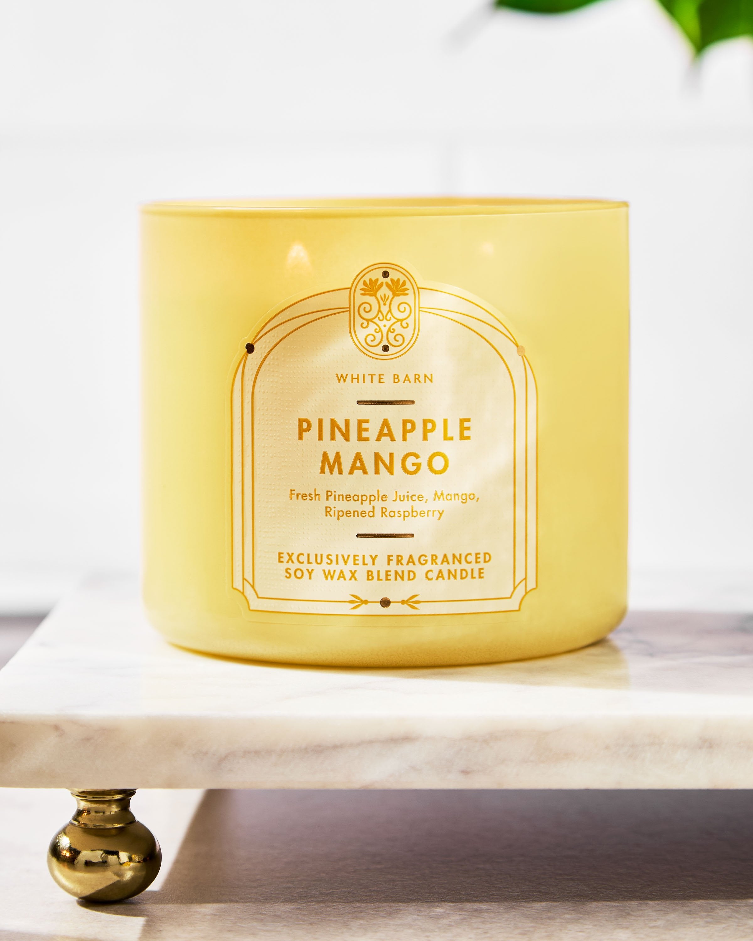 Pineapple Mango 3-Wick Candle