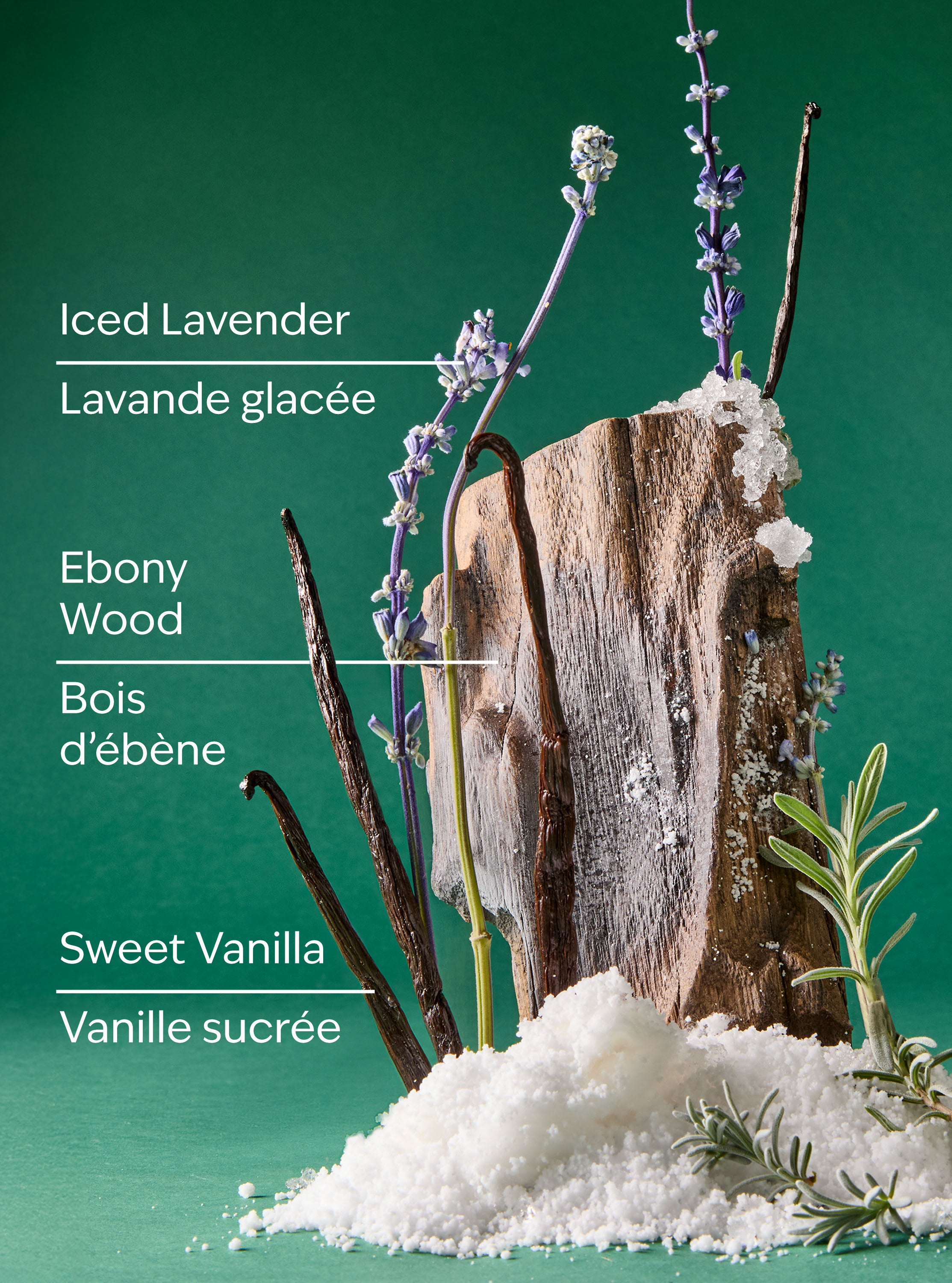 Iced Vanilla Woods Wallflowers Fragrance Refill