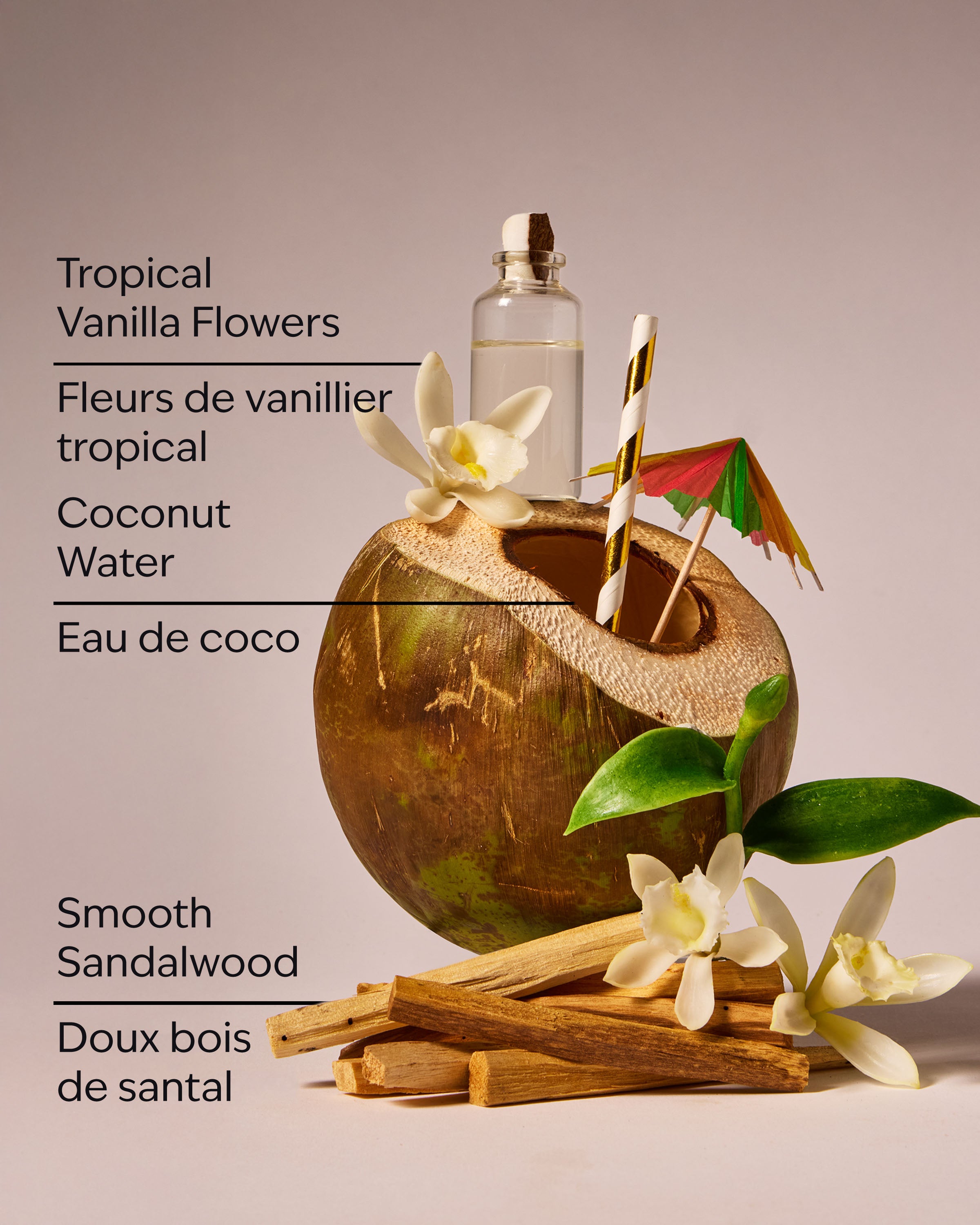 Paradise Vanilla Wallflowers Fragrance Refill