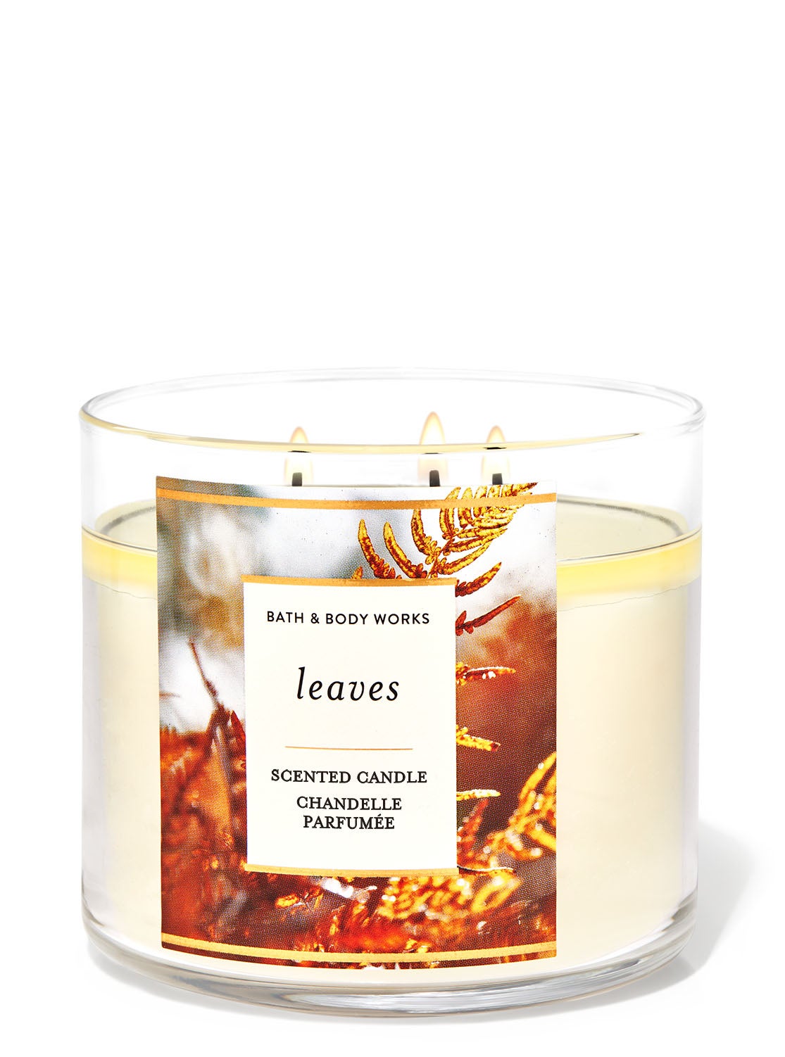 Leaves 3Wick Candle Bath and Body Works
