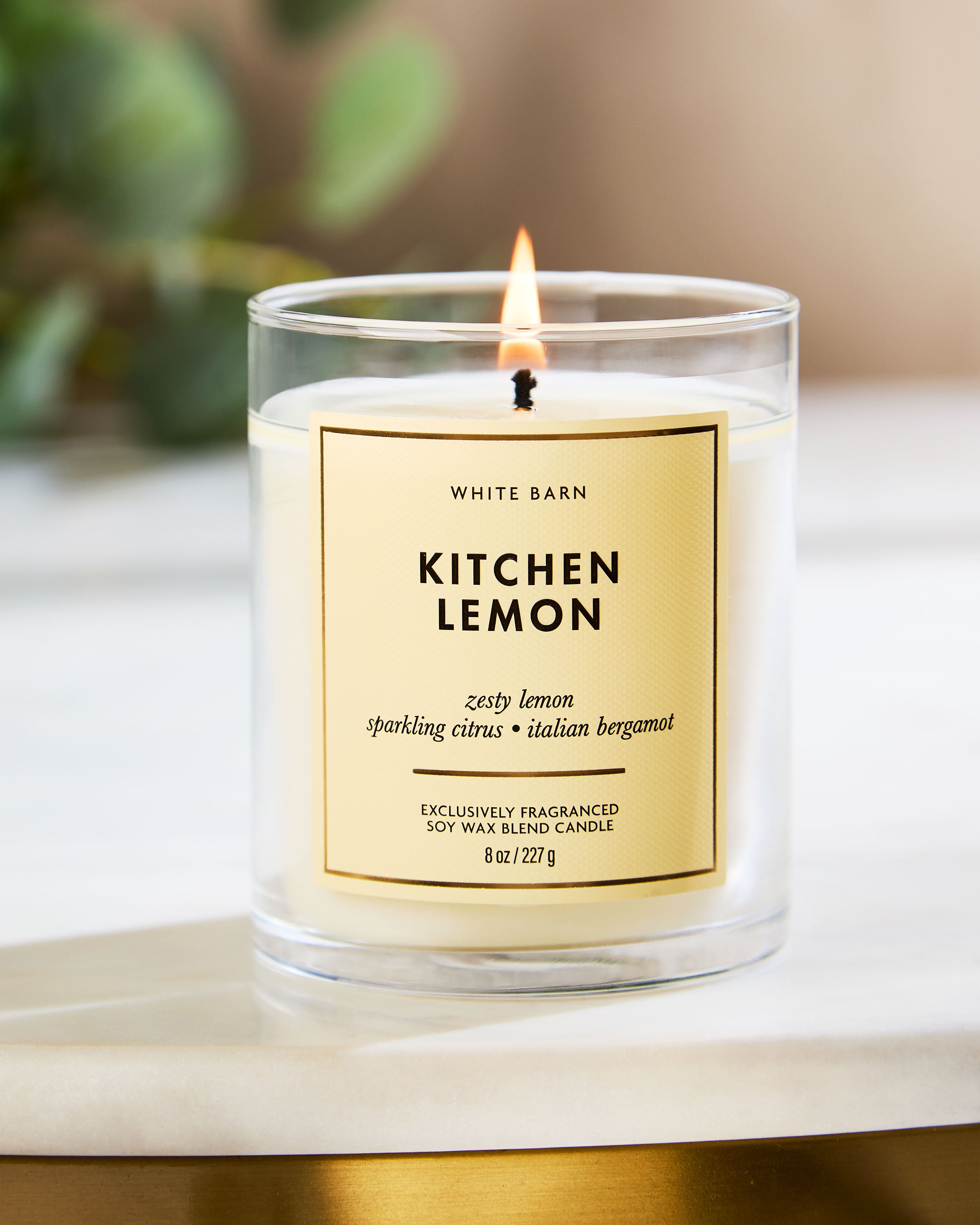 Kitchen Lemon Single Wick Candle