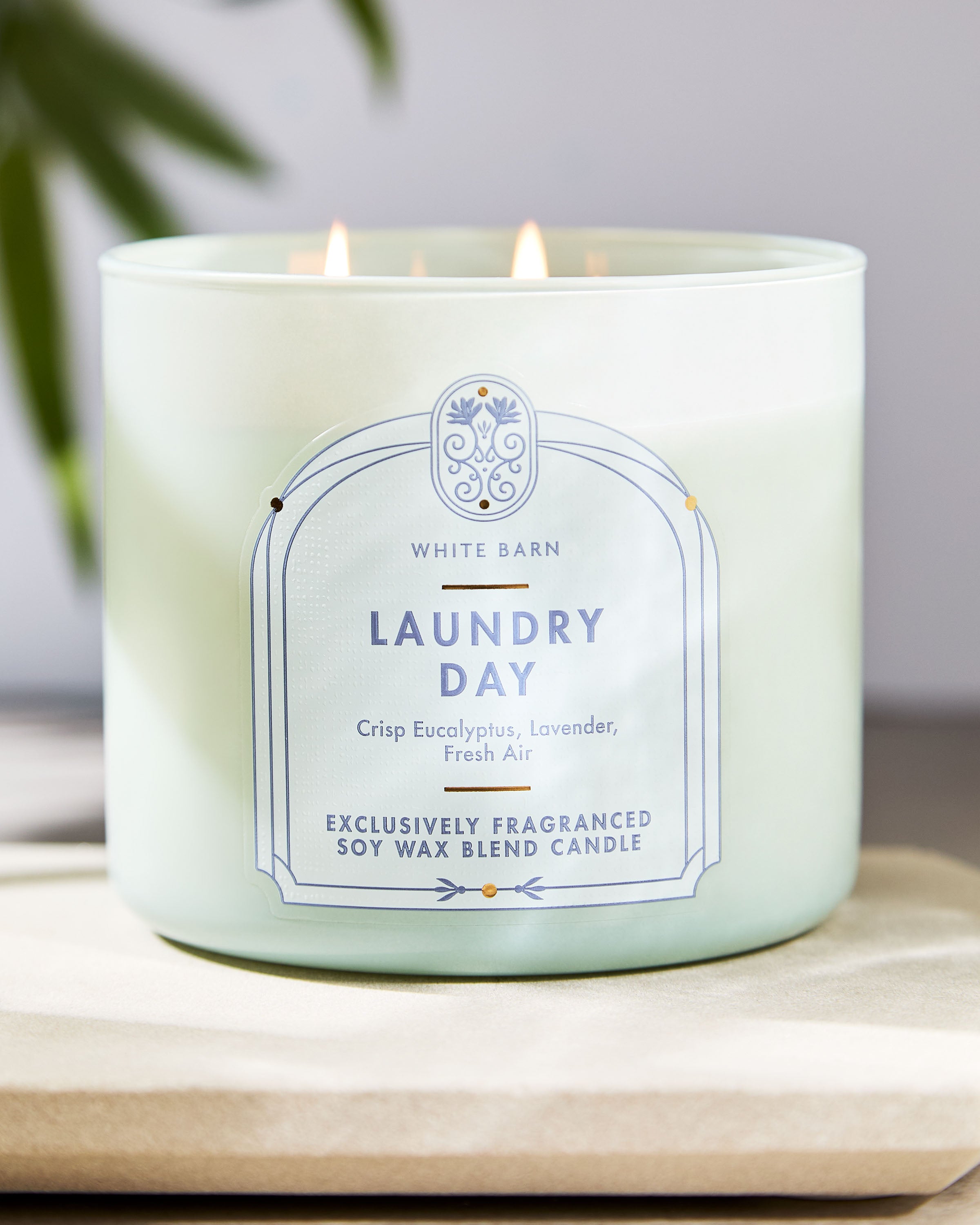 Laundry Day 3-Wick Candle