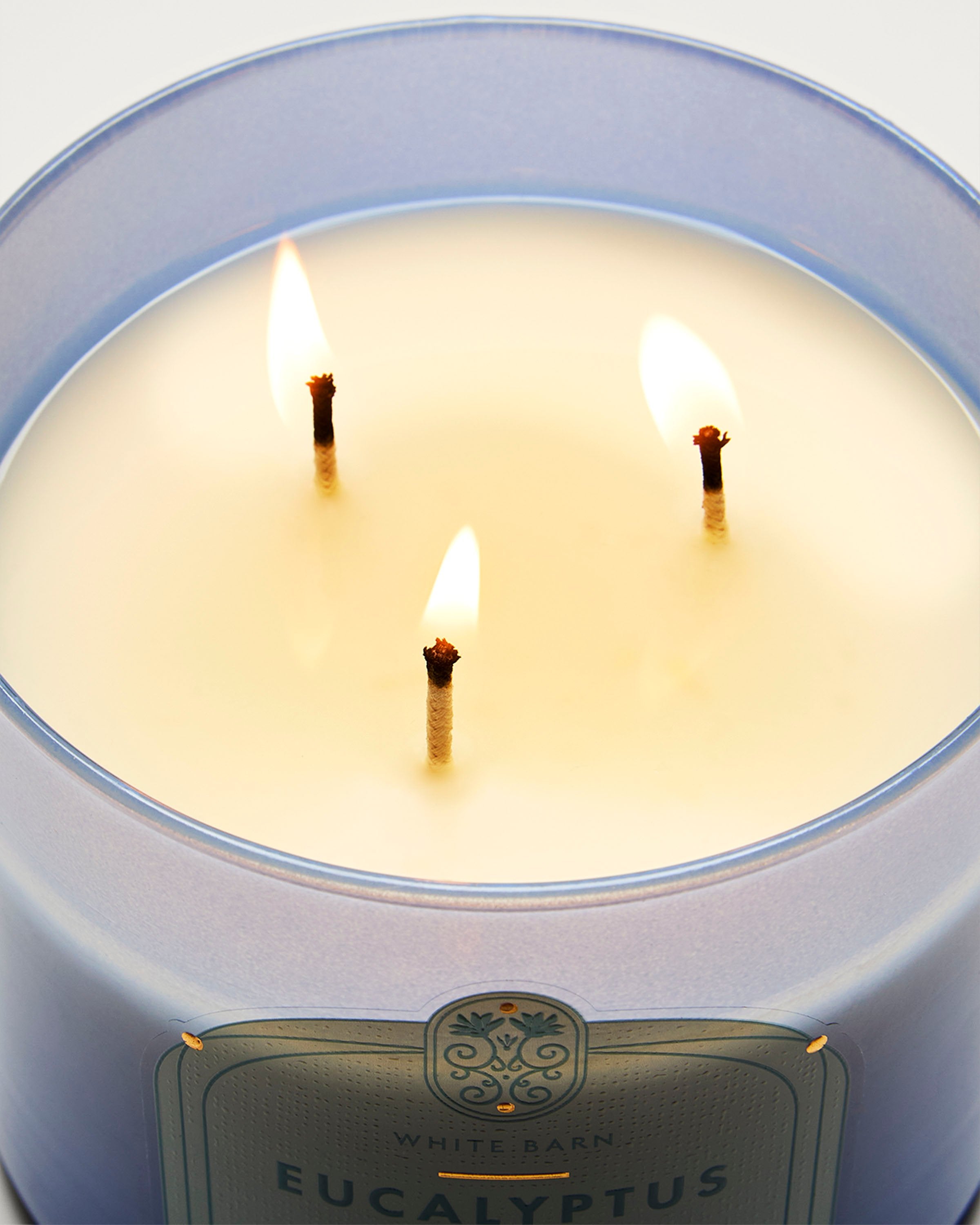 Eucalyptus Rain 3-Wick Candle