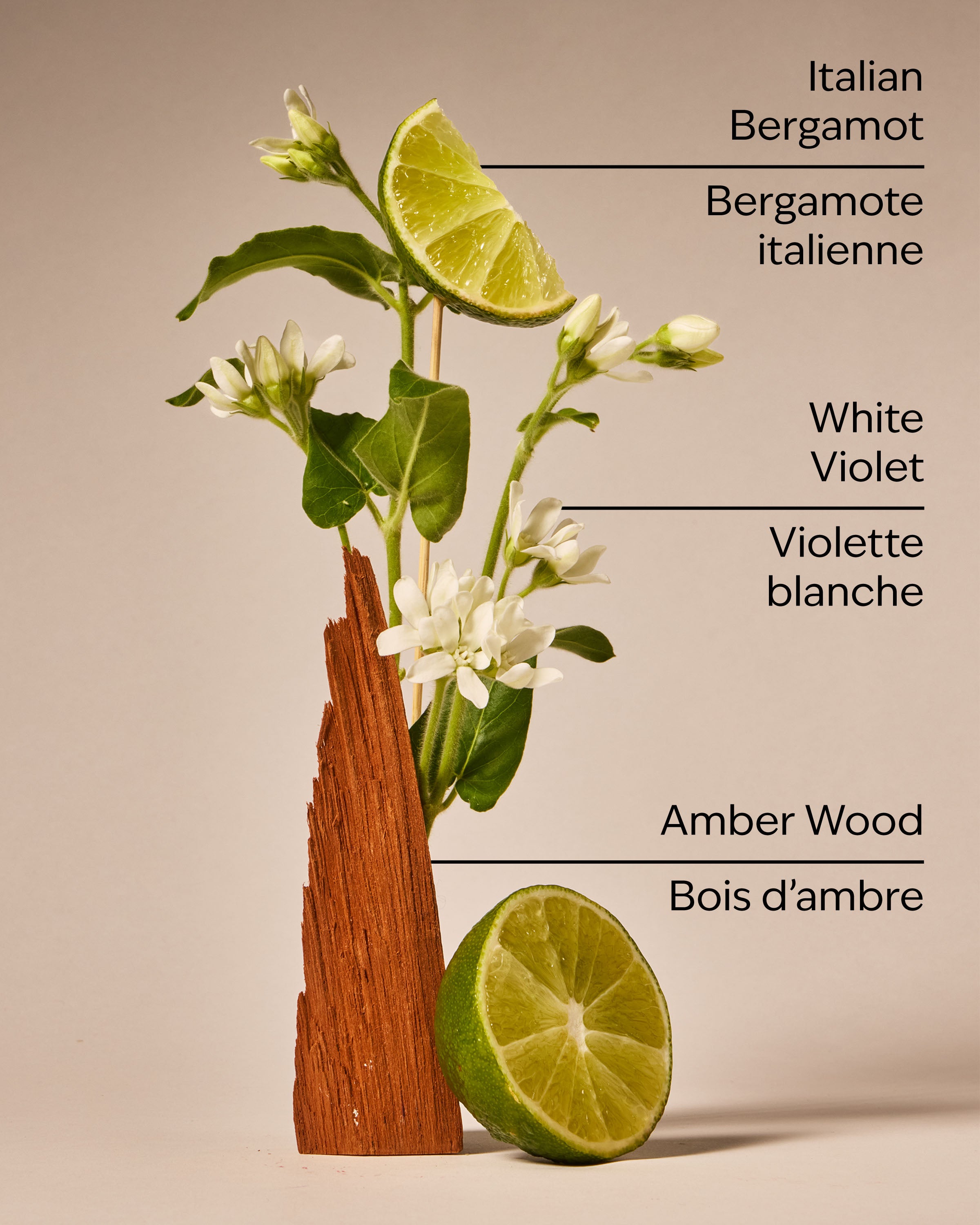 Sunwashed Santal Gentle & Clean Foaming Hand Soap