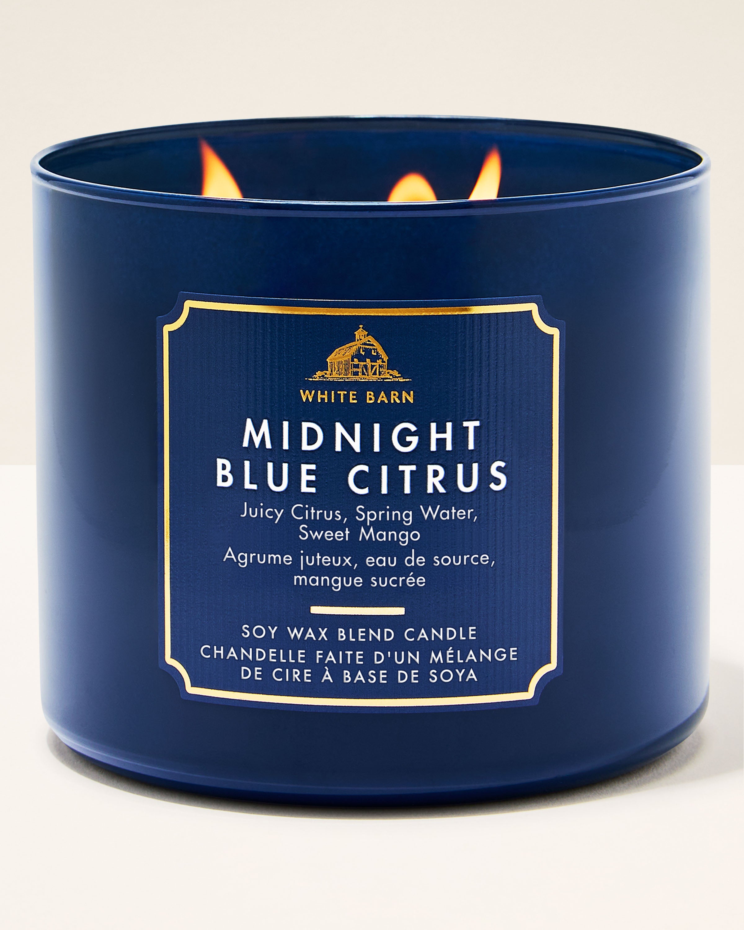 Midnight Blue Citrus 3-Wick Candle