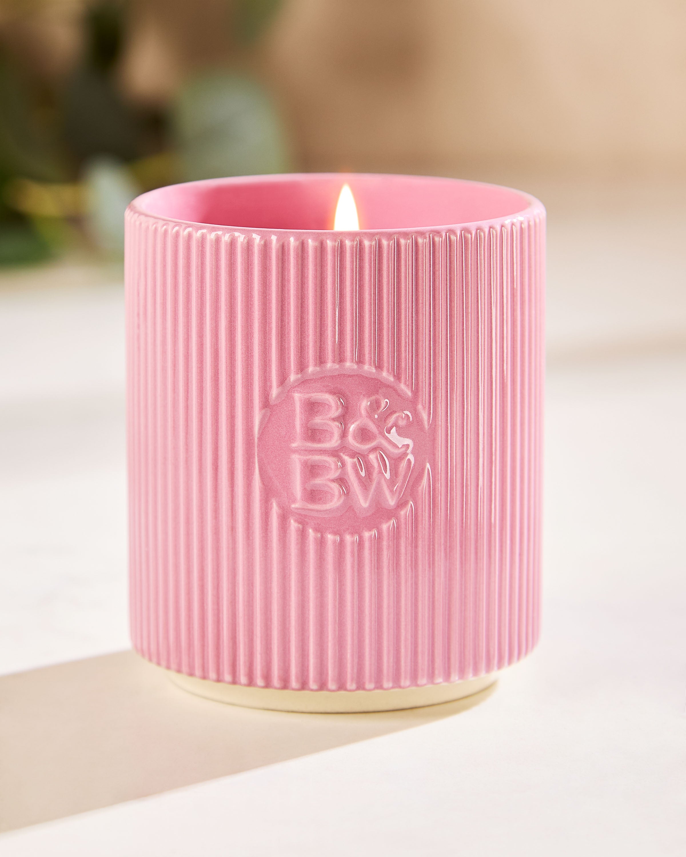 Lavender & Hinoki Single Wick Candle