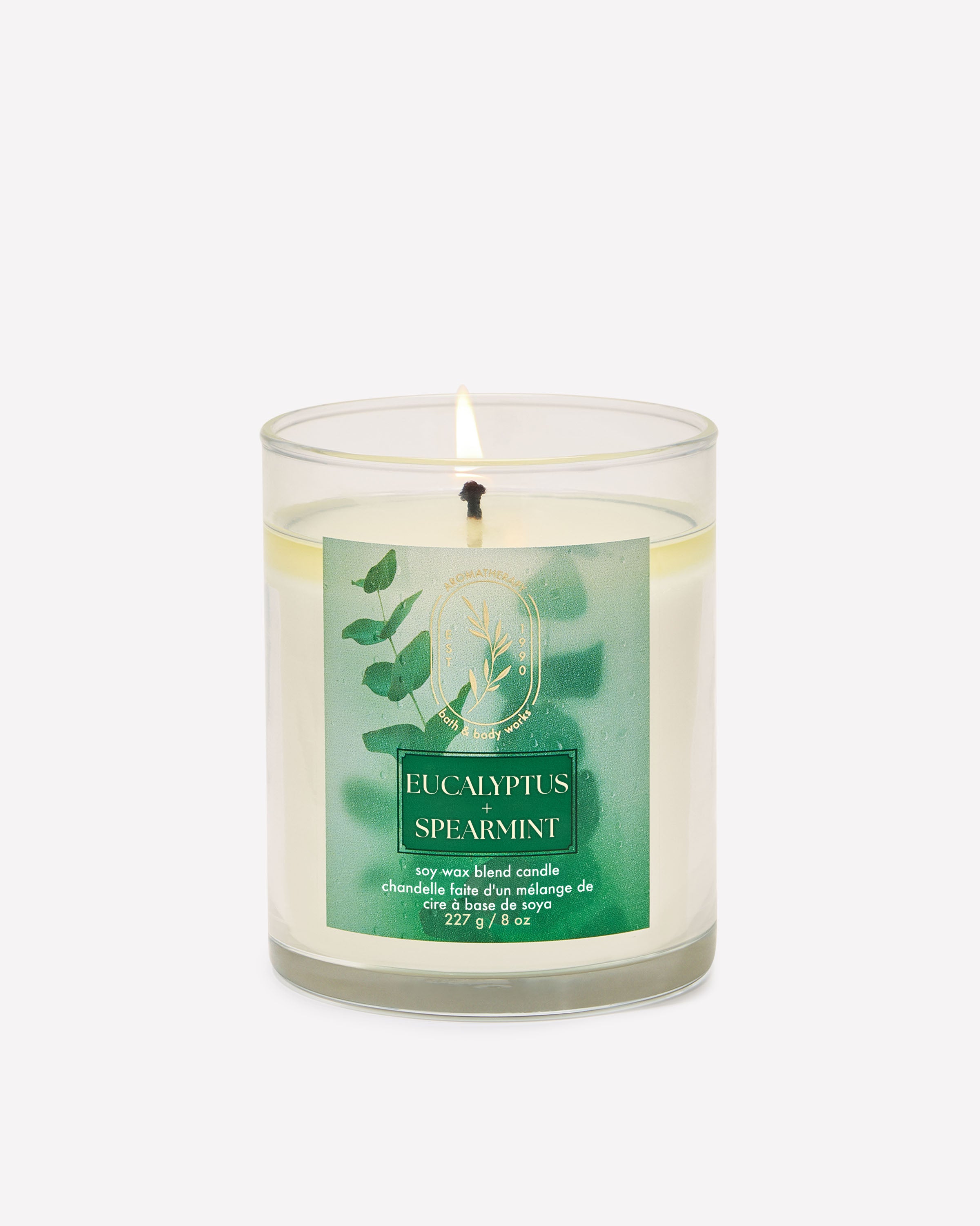 Chandelle à une mèche Eucalyptus Spearmint