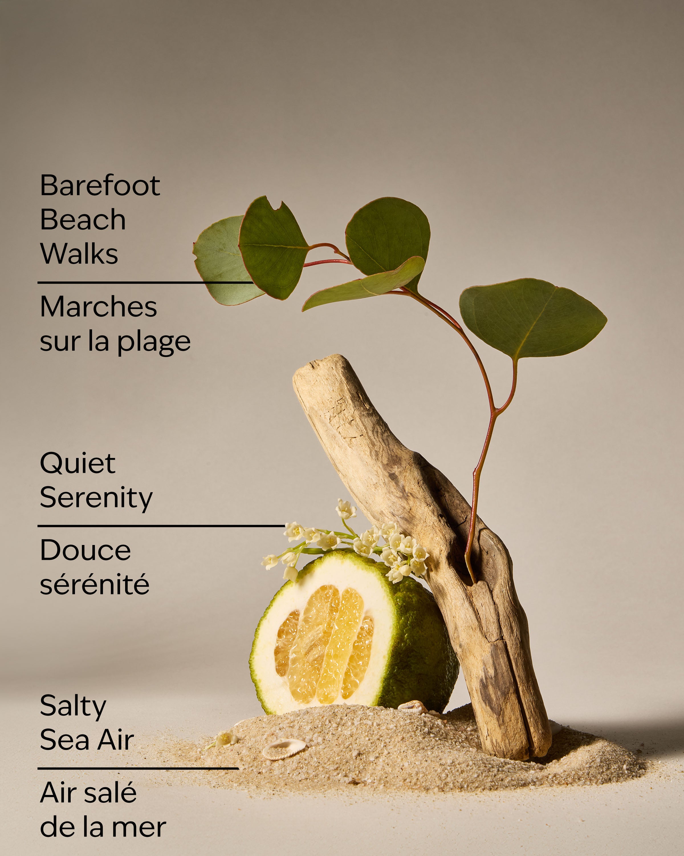 Ocean Town Bound Wallflowers Fragrance Refill