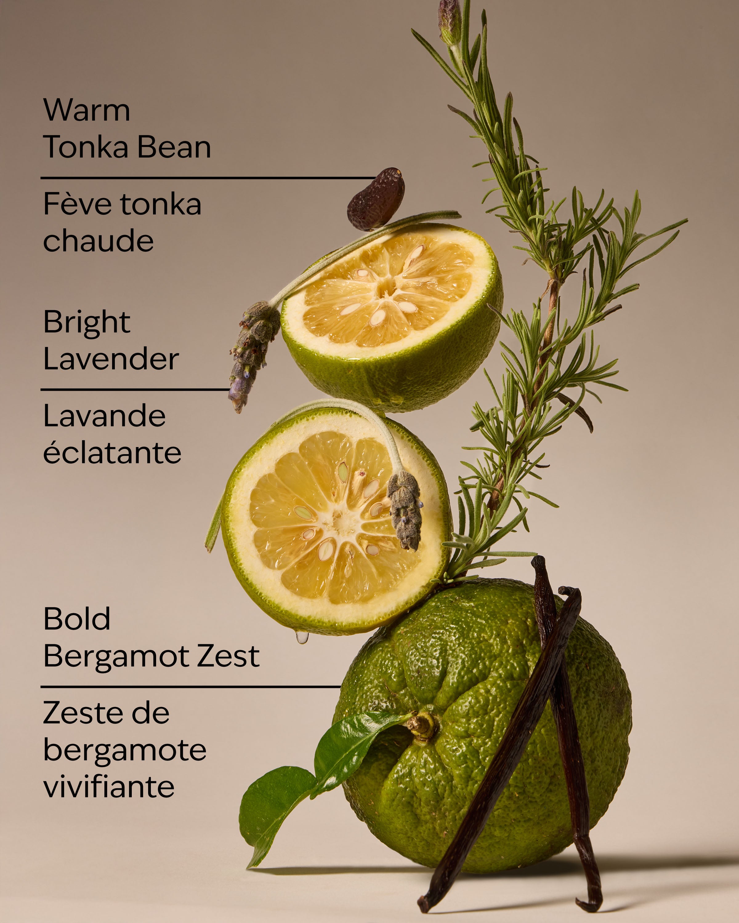 Lavender Bergamot 3-Wick Candle