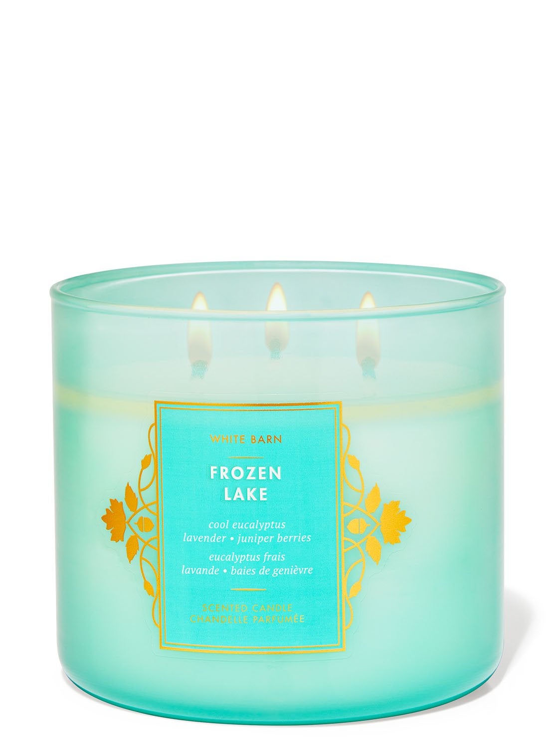 Frozen Lake 3Wick Candle Bath and Body Works