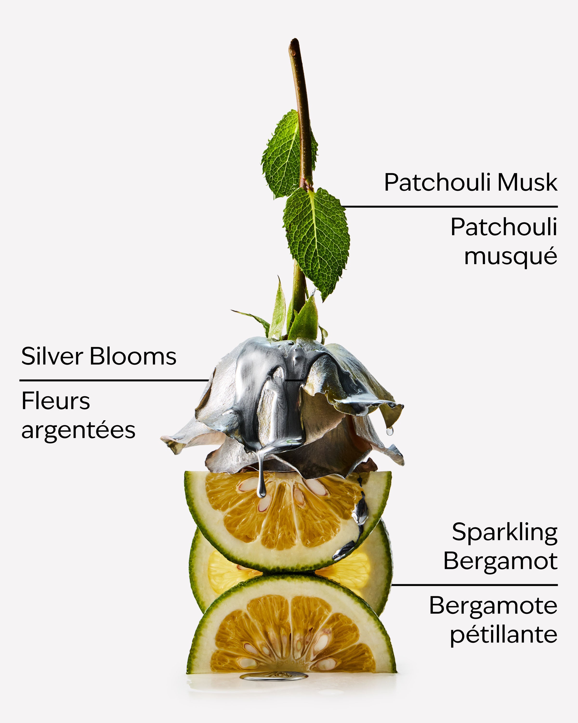 Platinum Travel Size Fine Fragrance Mist