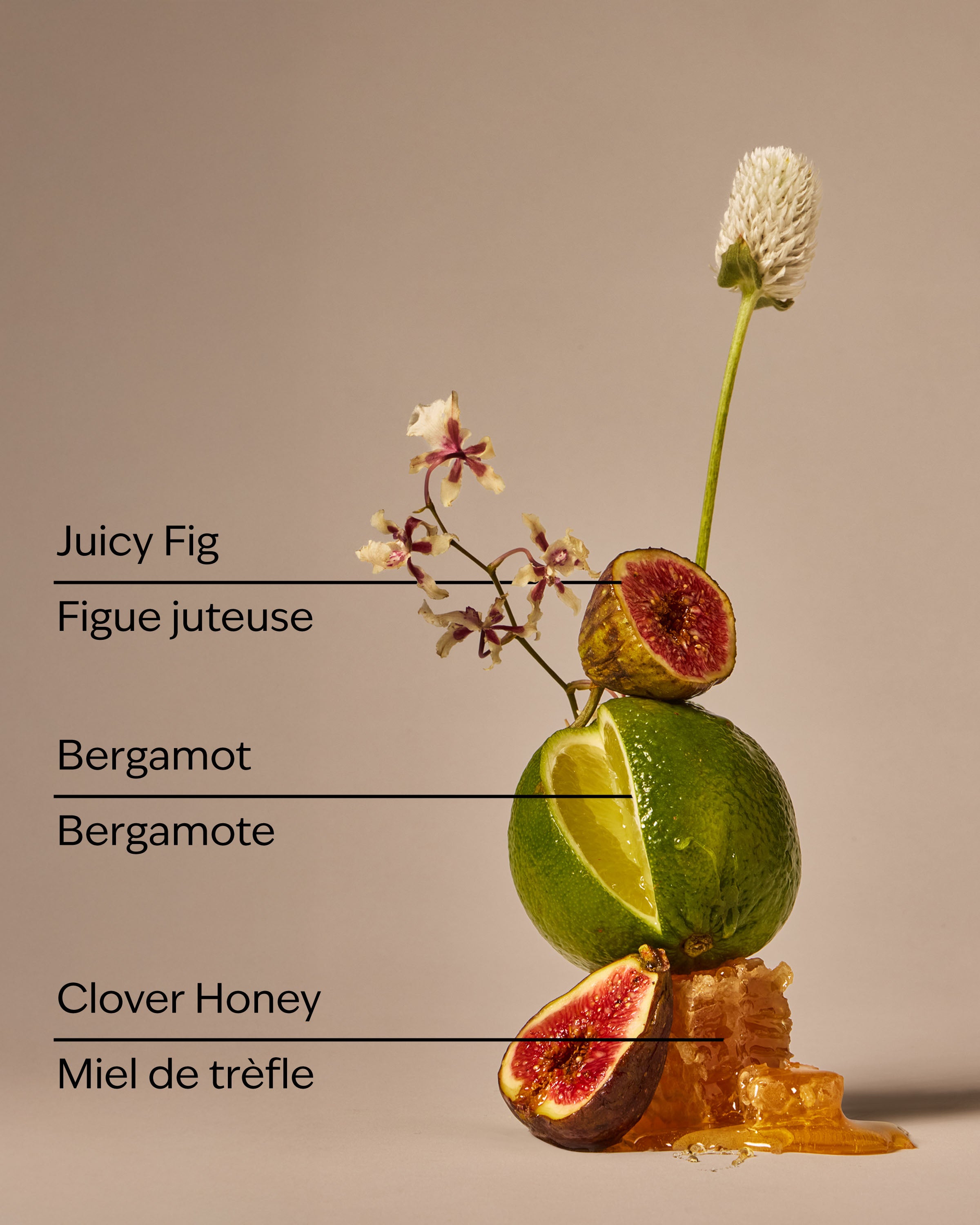 Wildflower Honey & Fig Cleansing Gel Hand Soap