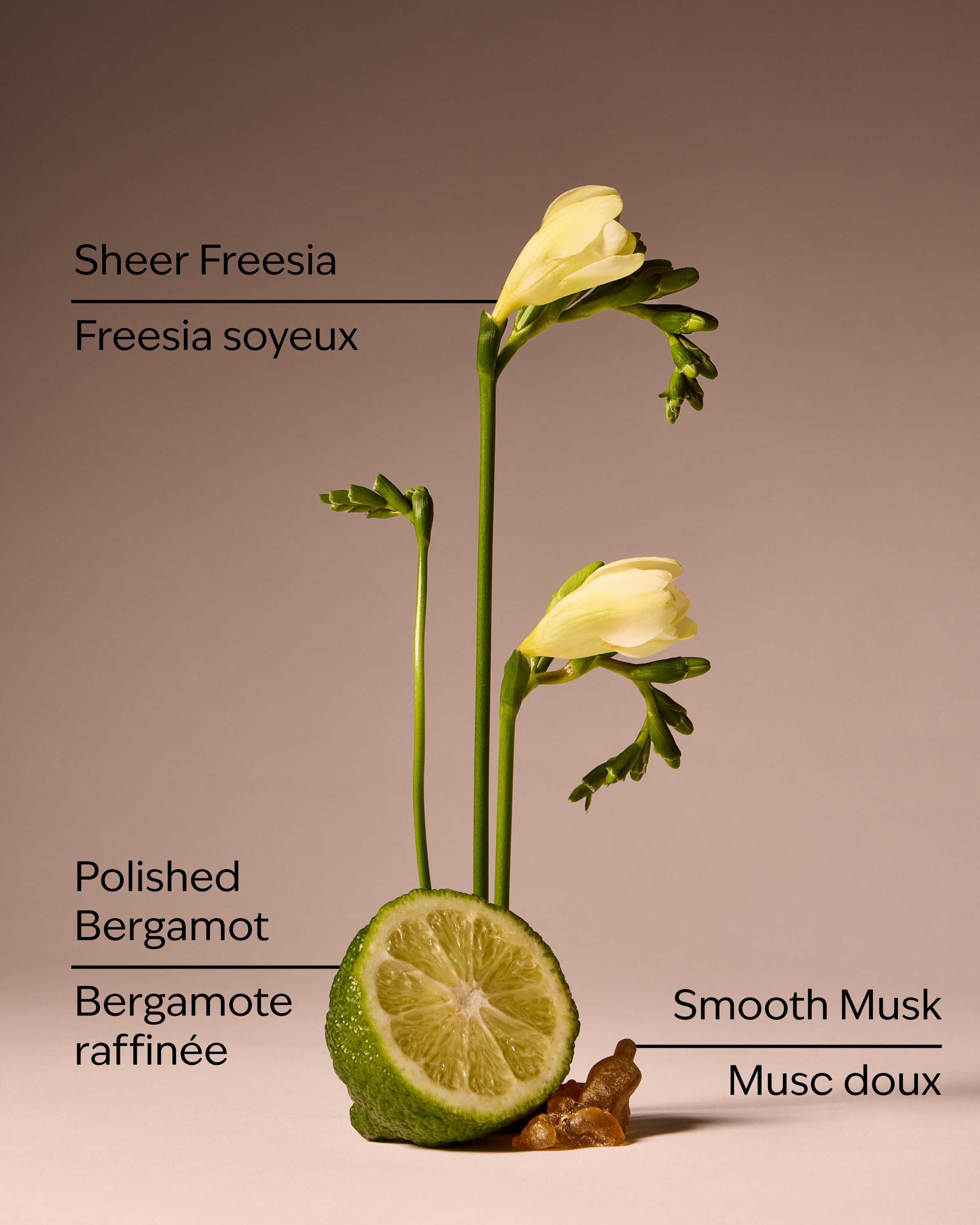 Lounge Talk Wallflowers Fragrance Refill