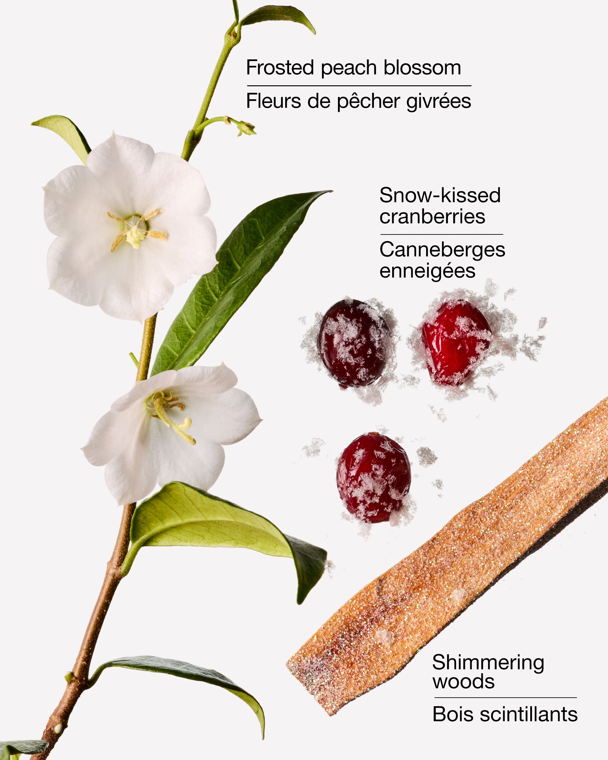 Snowy Peach Berry Gentle & Clean Foaming Hand Soap
