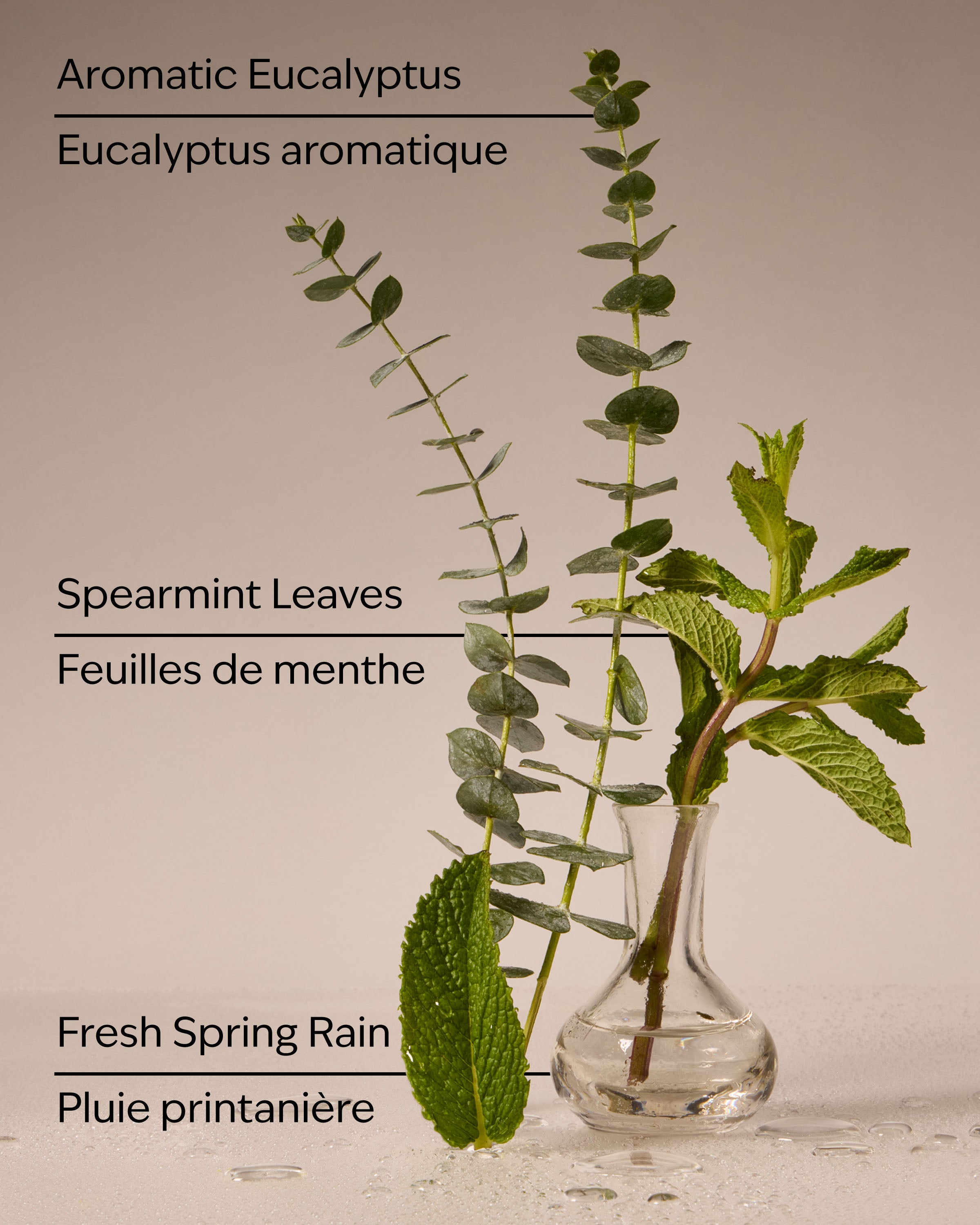 Eucalyptus Rain 3-Wick Candle