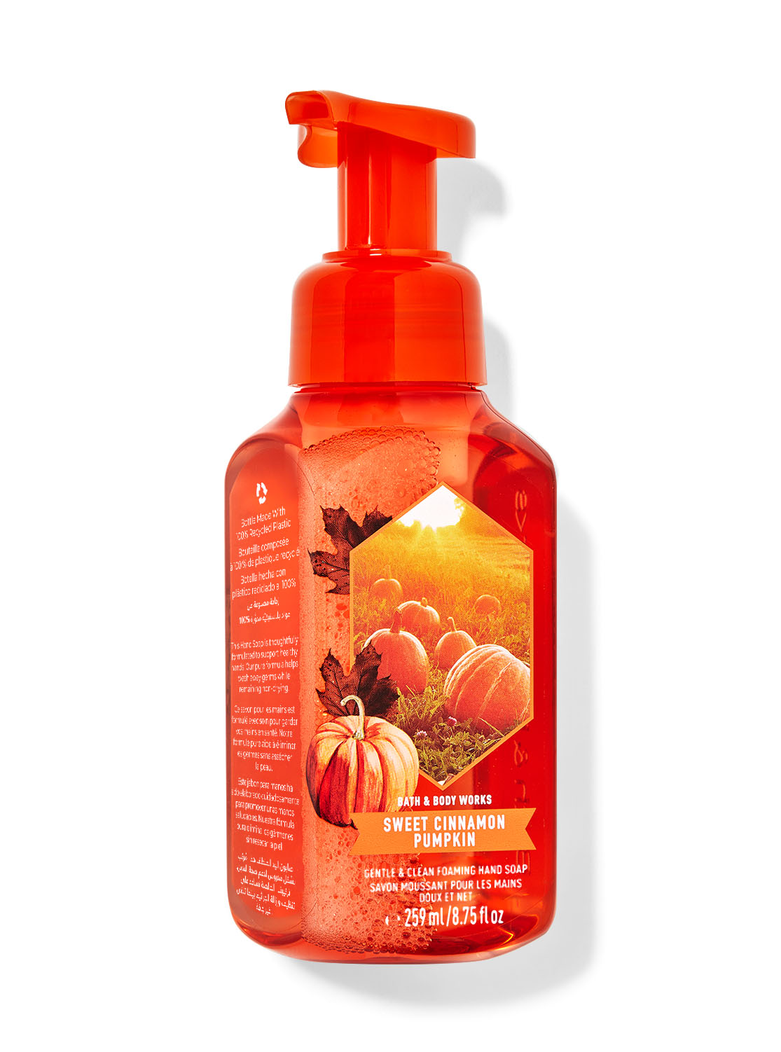 Sweet Cinnamon Pumpkin Gentle & Clean Foaming Hand Soap | Bath and Body Works