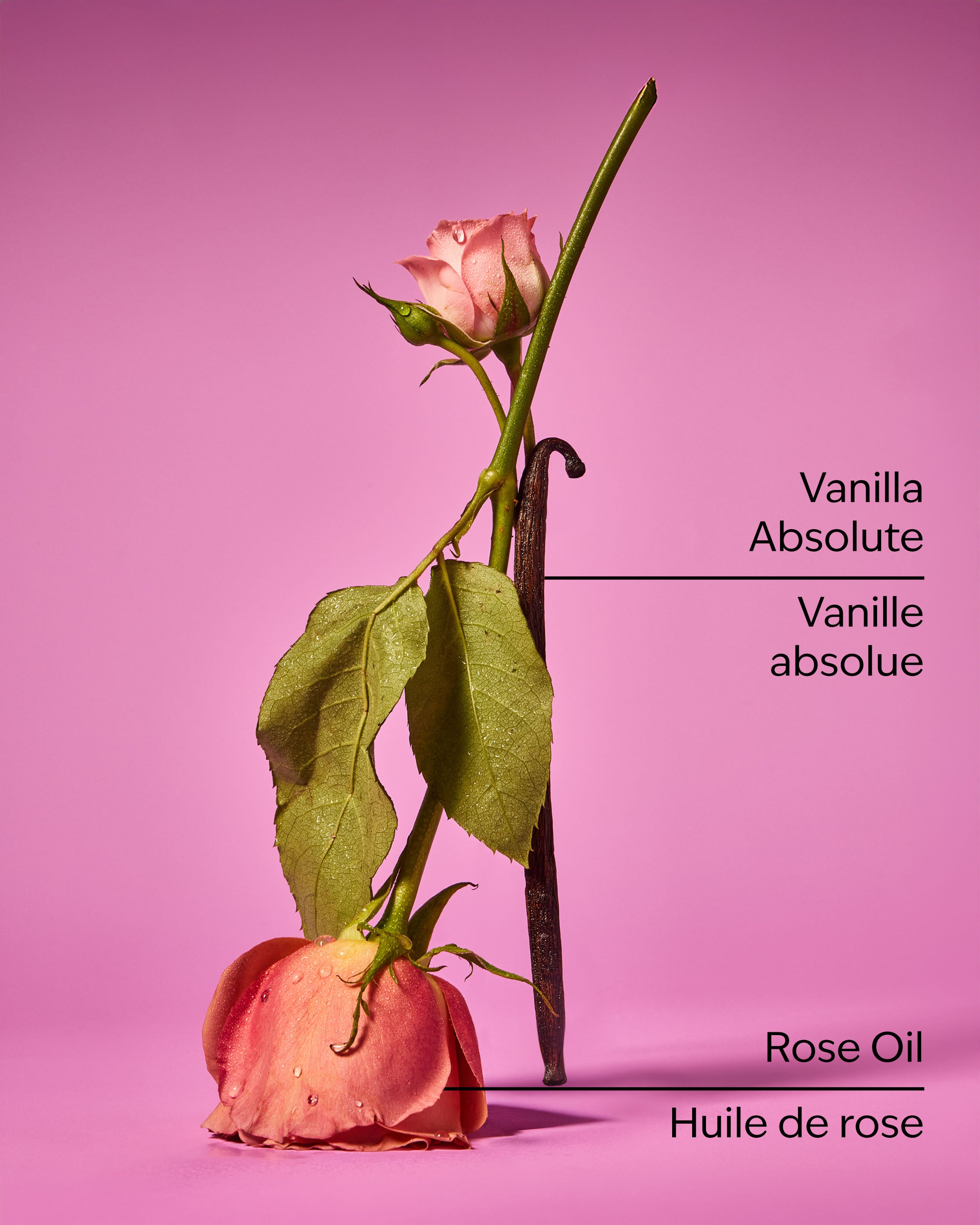 Rose Vanilla Essential Oil Mist