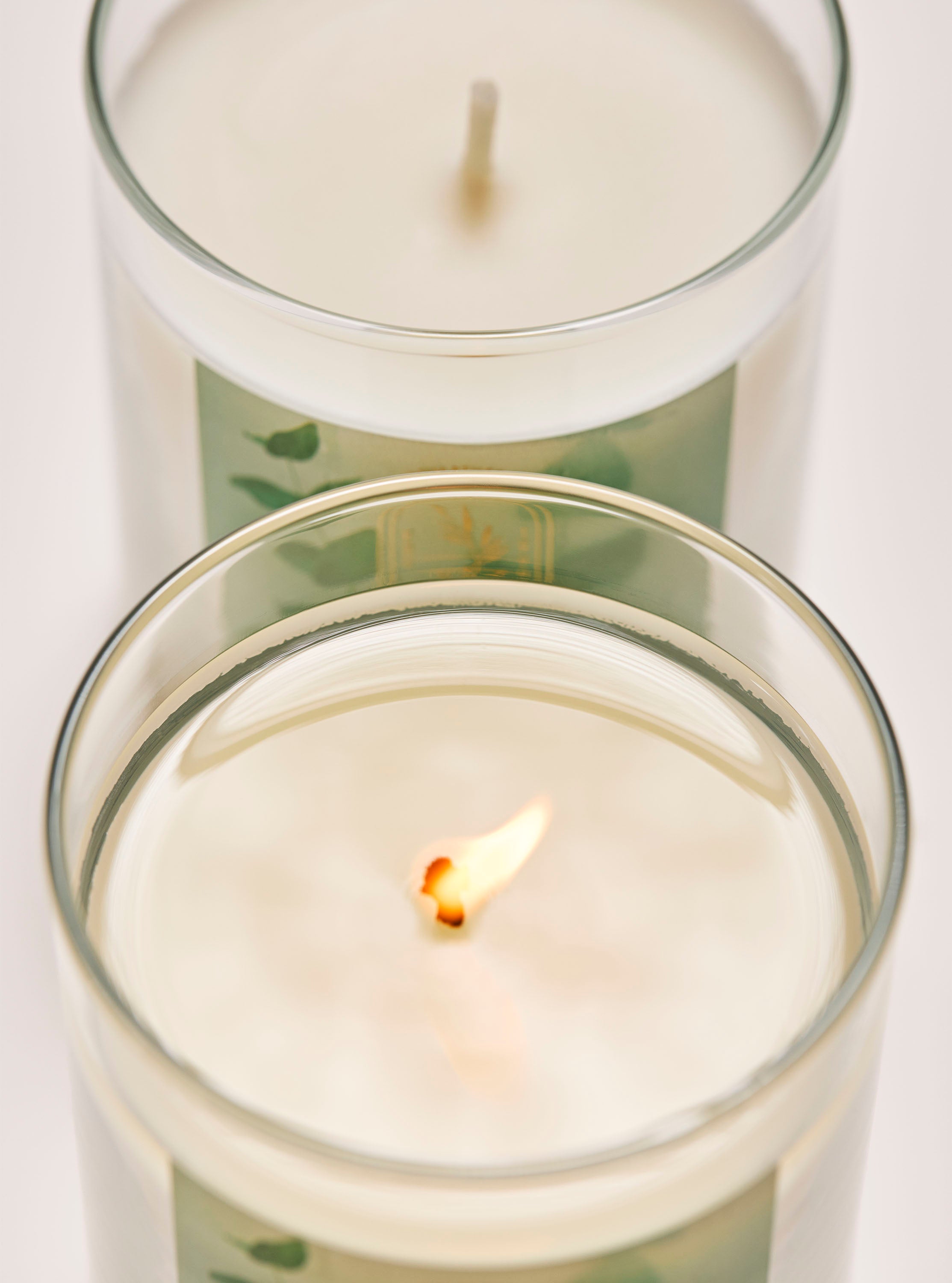 Eucalyptus Spearmint Single Wick Candle