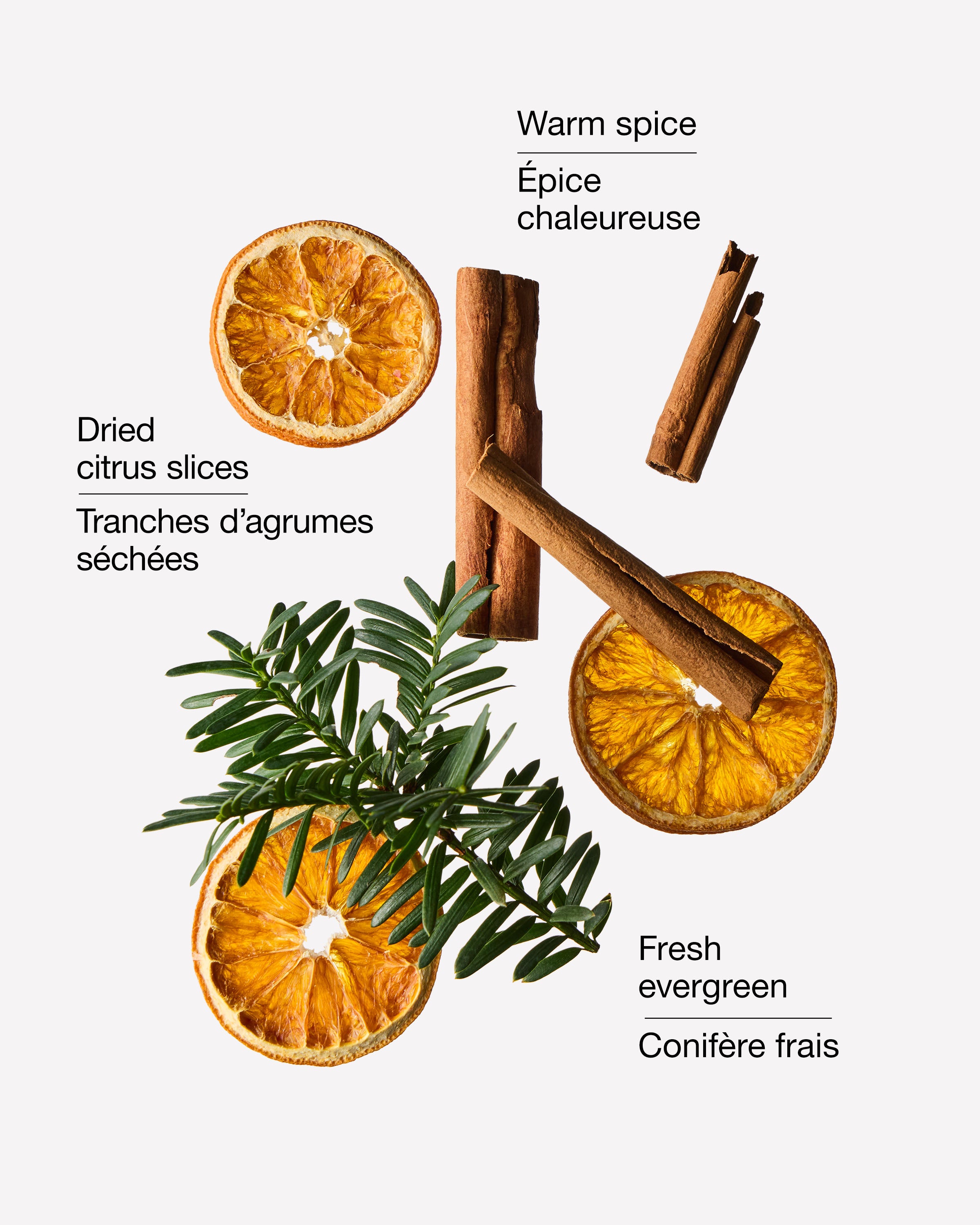 Spiced Citrus Garland Wallflowers Fragrance Refill