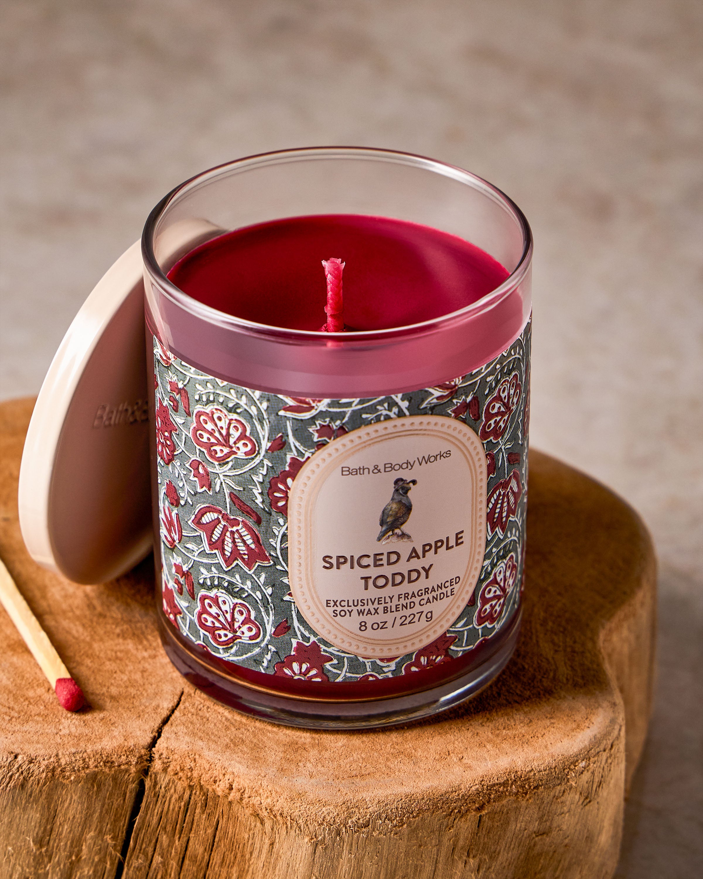 Chandelle à une mèche Spiced Apple Toddy