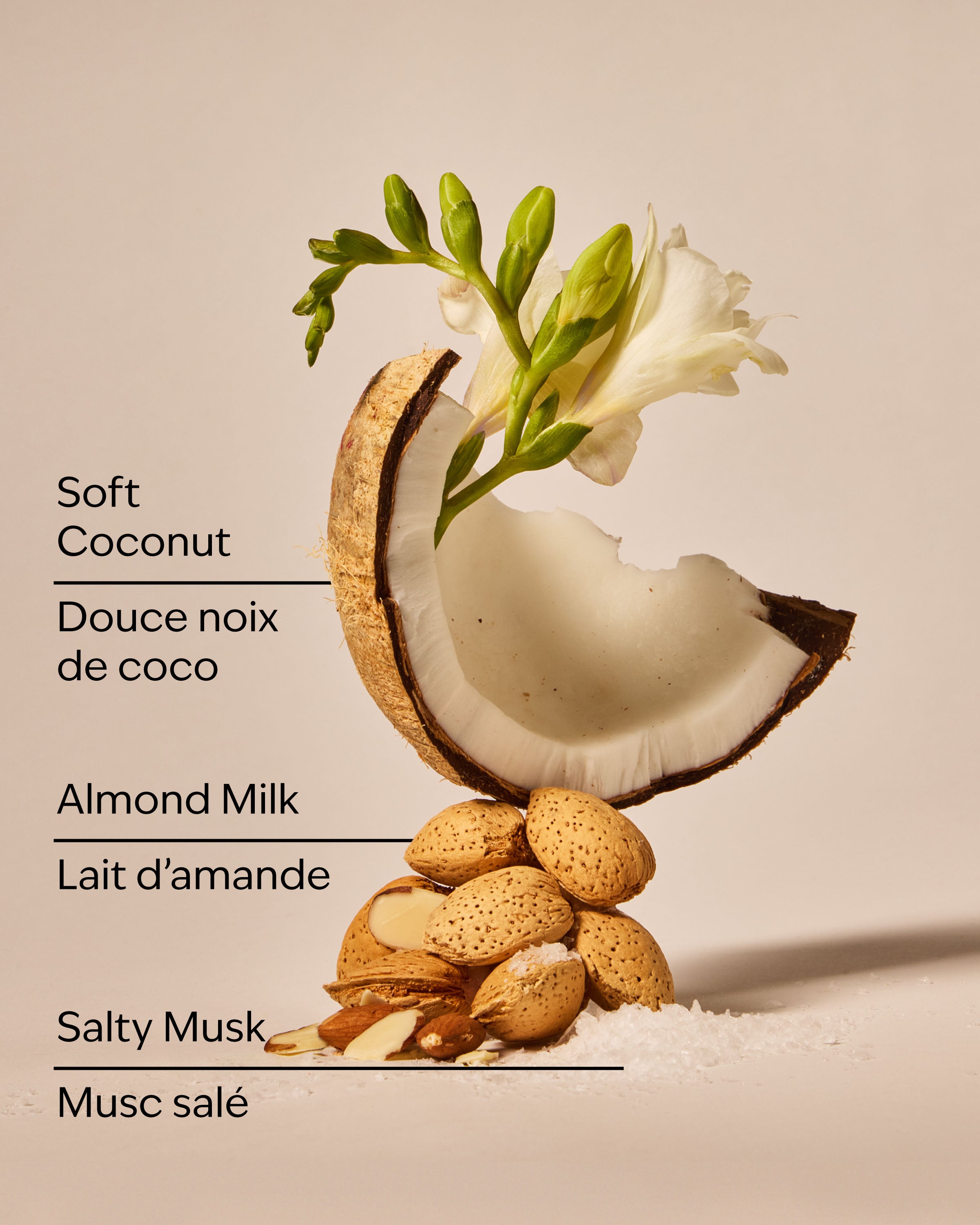 Coconut Linen Wallflowers Fragrance Refill