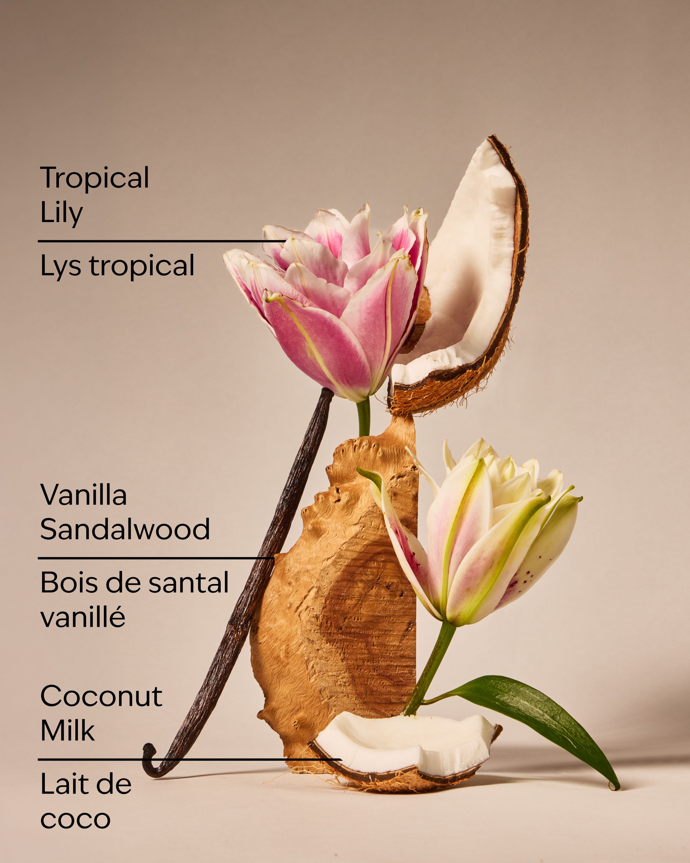 Eau De Coconut Fine Fragrance Mist