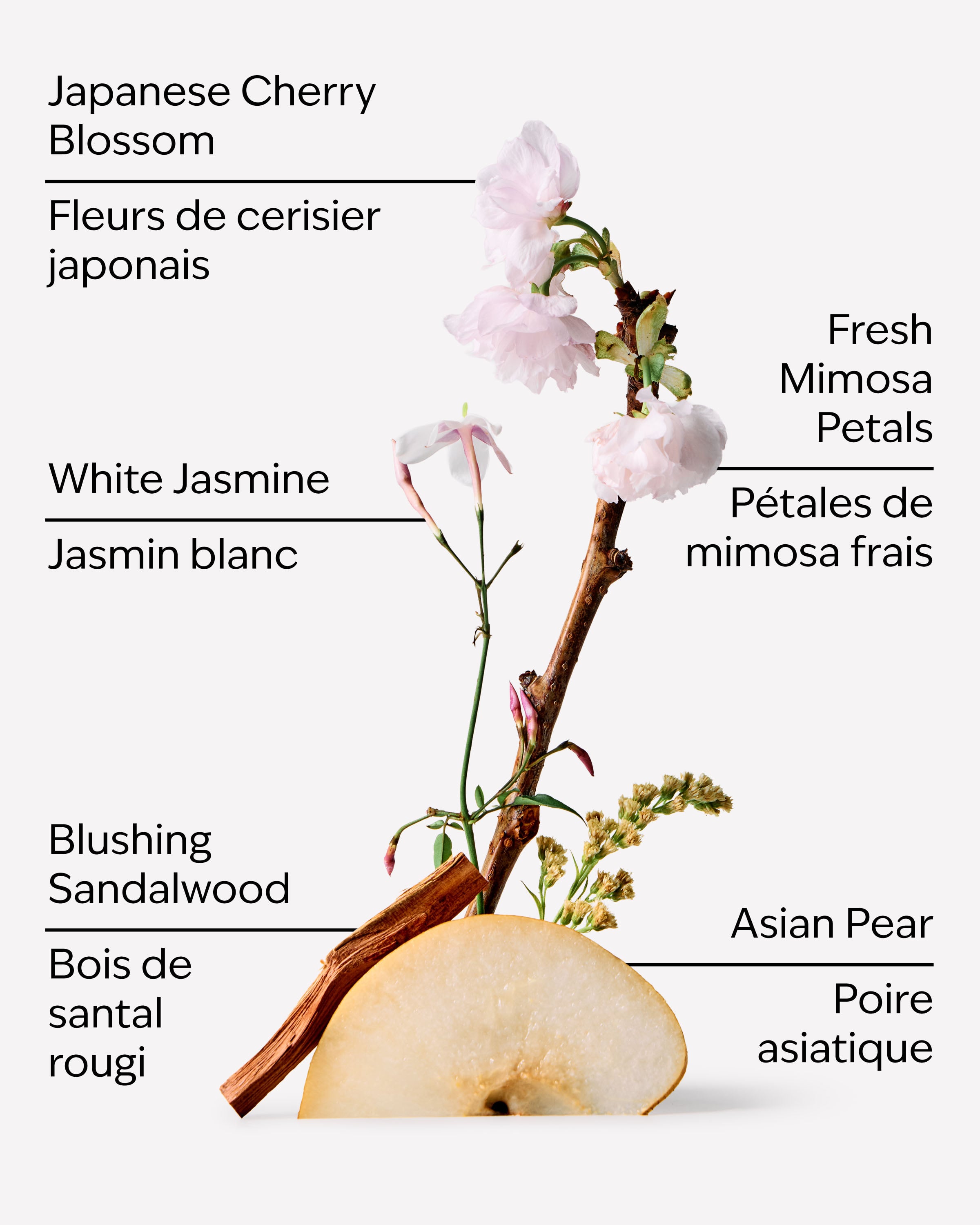 Japanese Cherry Blossom Wallflowers Fragrance Refill