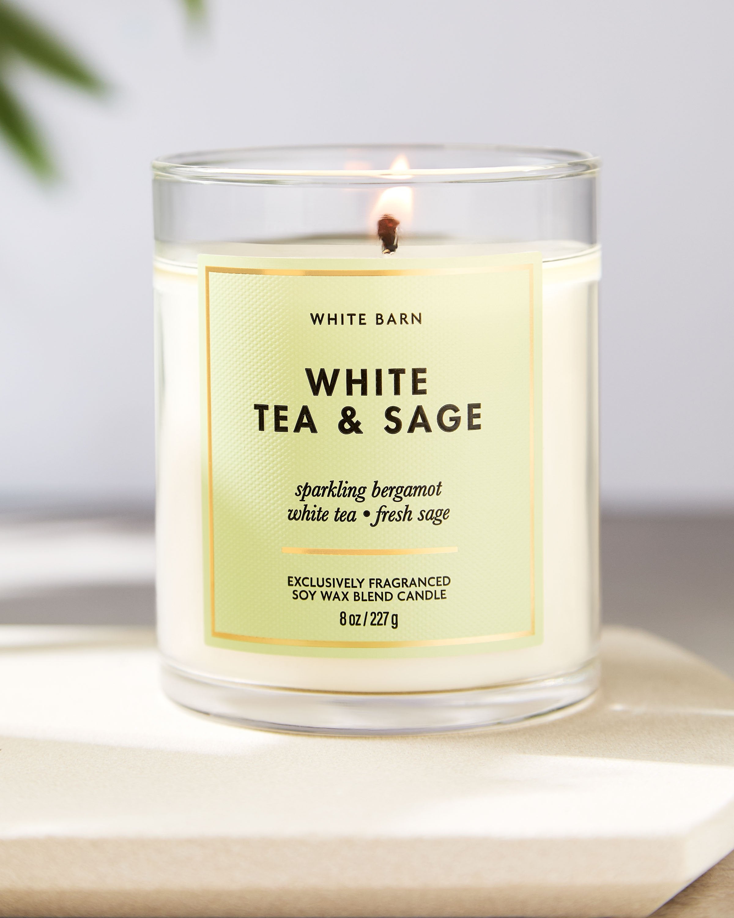 White Tea & Sage Single Wick Candle