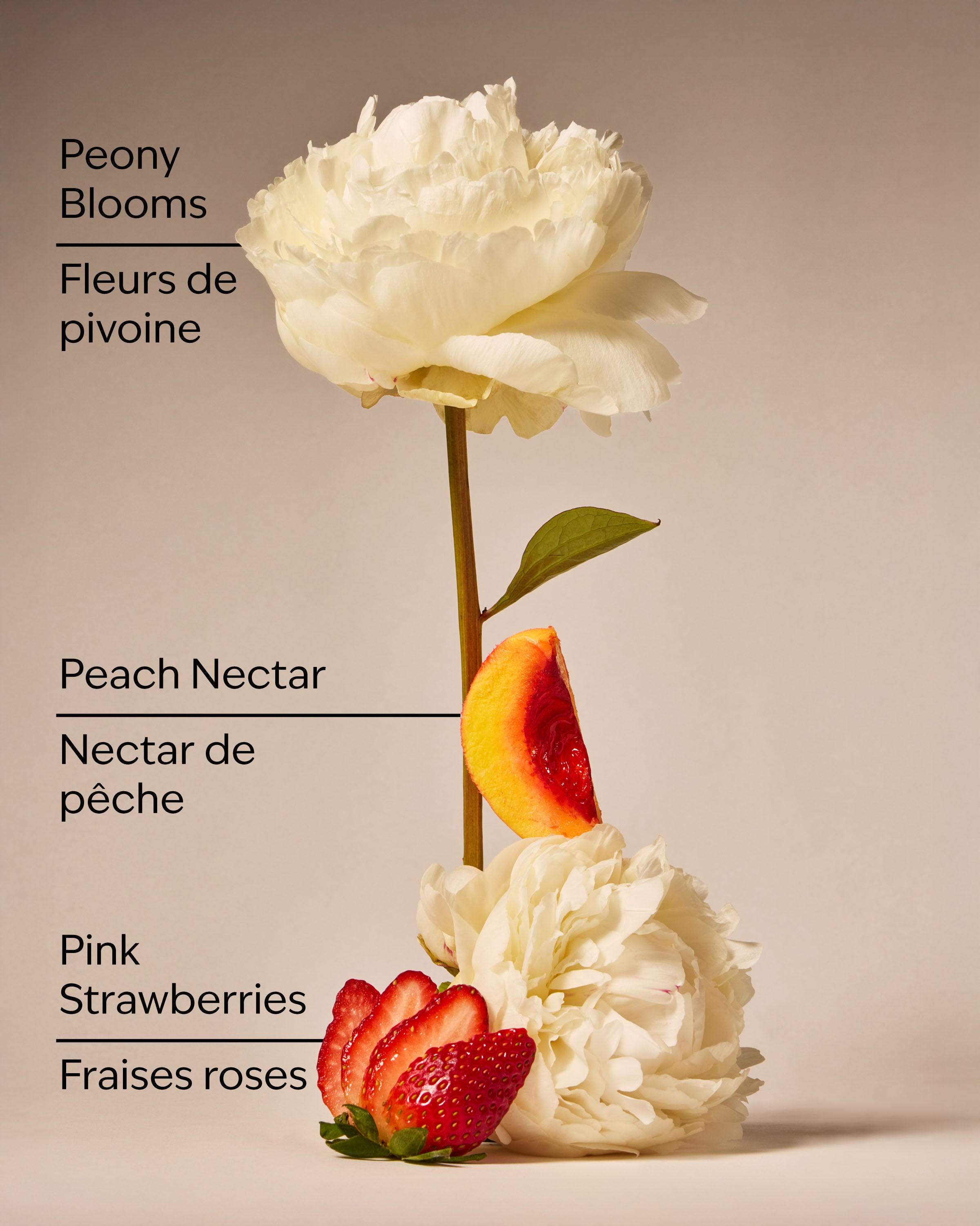 Gingham Gorgeous Body Lotion