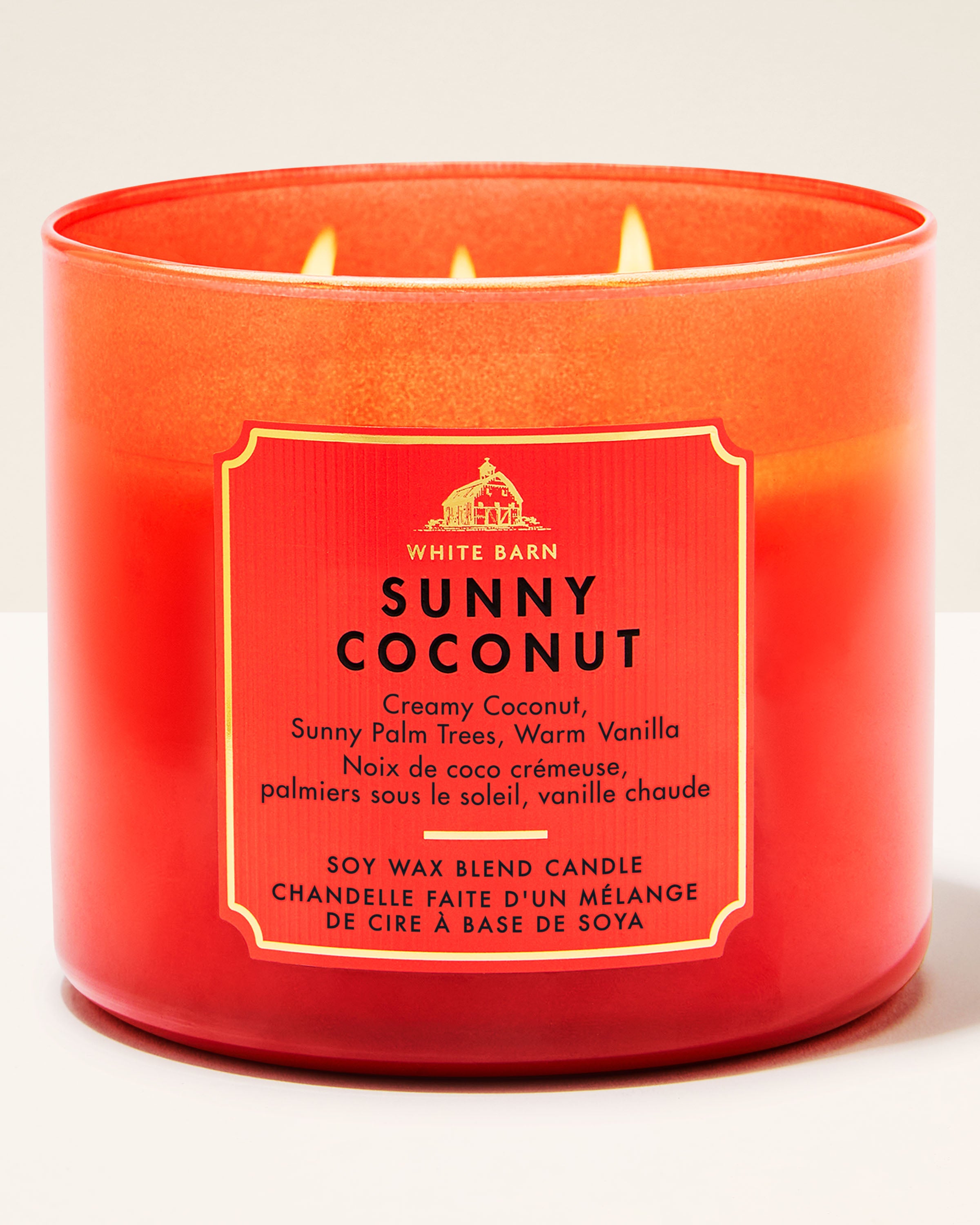 Sunny Coconut 3-Wick Candle