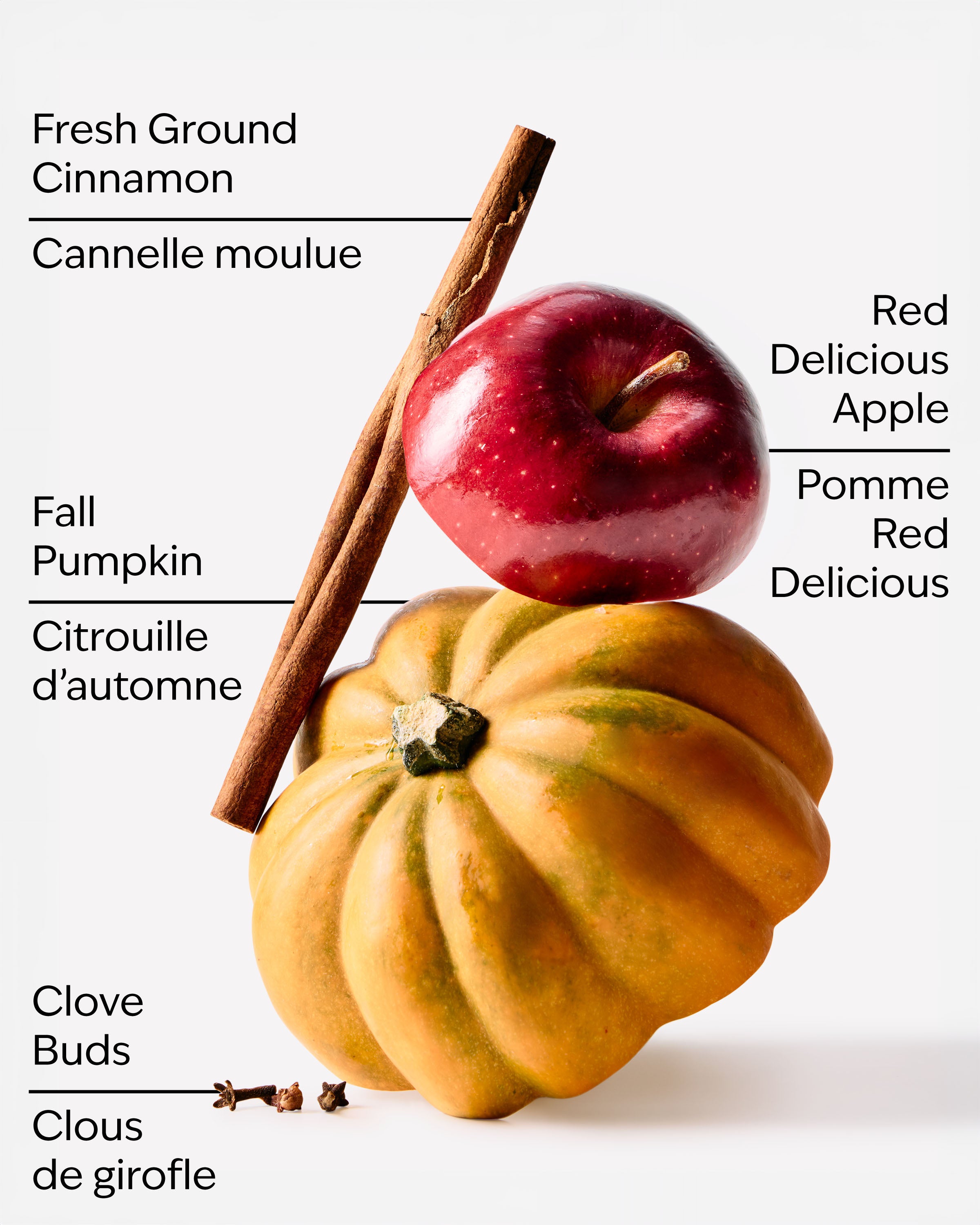 Pumpkin Apple Car Fragrance Refill