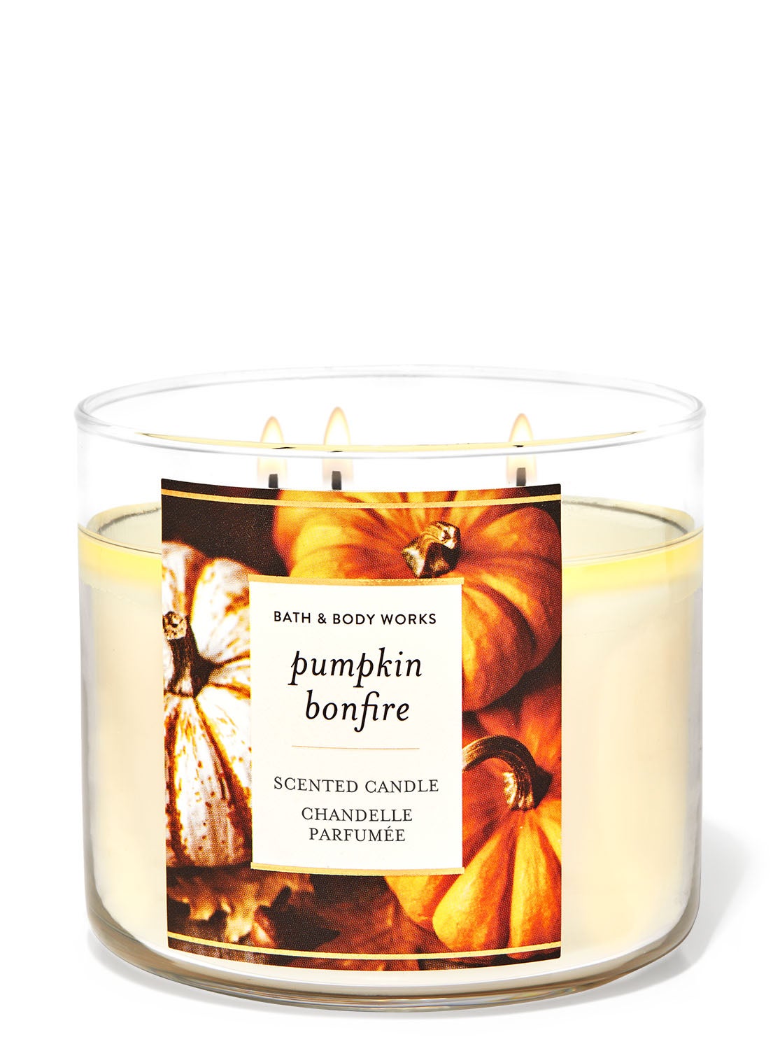Pumpkin Bonfire 3Wick Candle Bath and Body Works