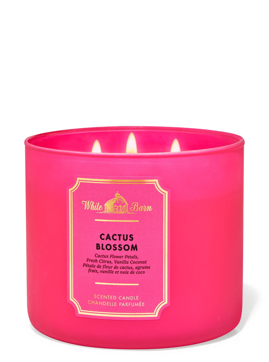Cactus Blossom 3Wick Candle Bath and Body Works