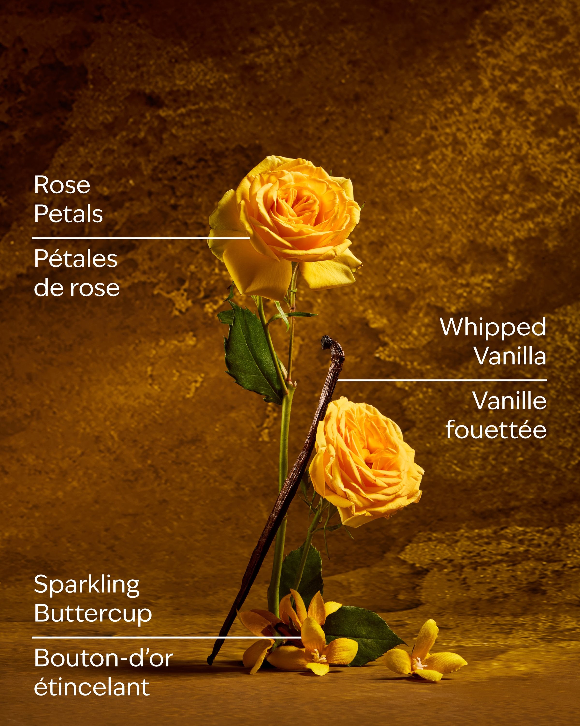 Belle Travel Size Fine Fragrance Mist