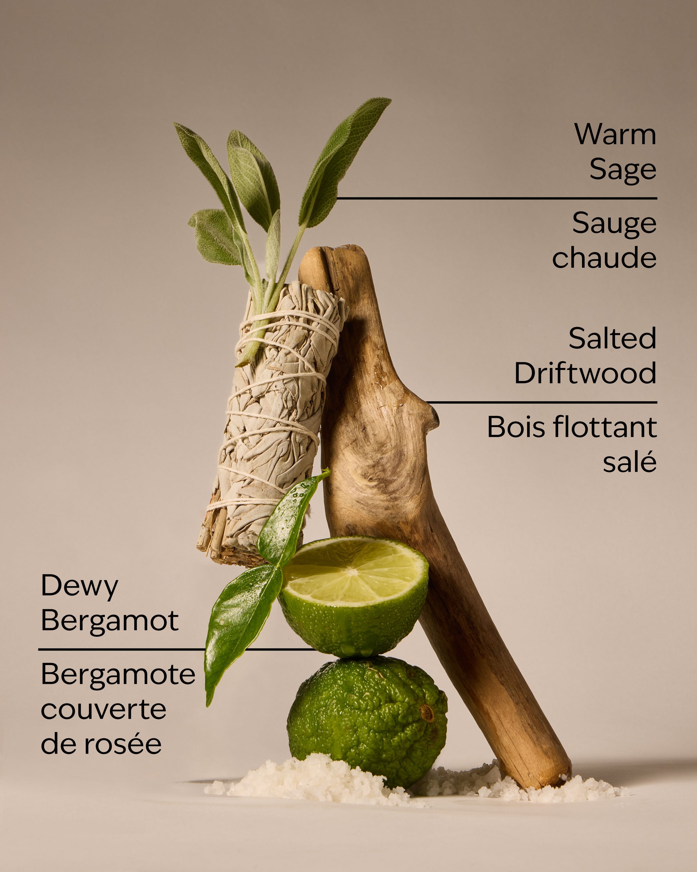 Salted Shorelines Ultimate Hydration Body Cream