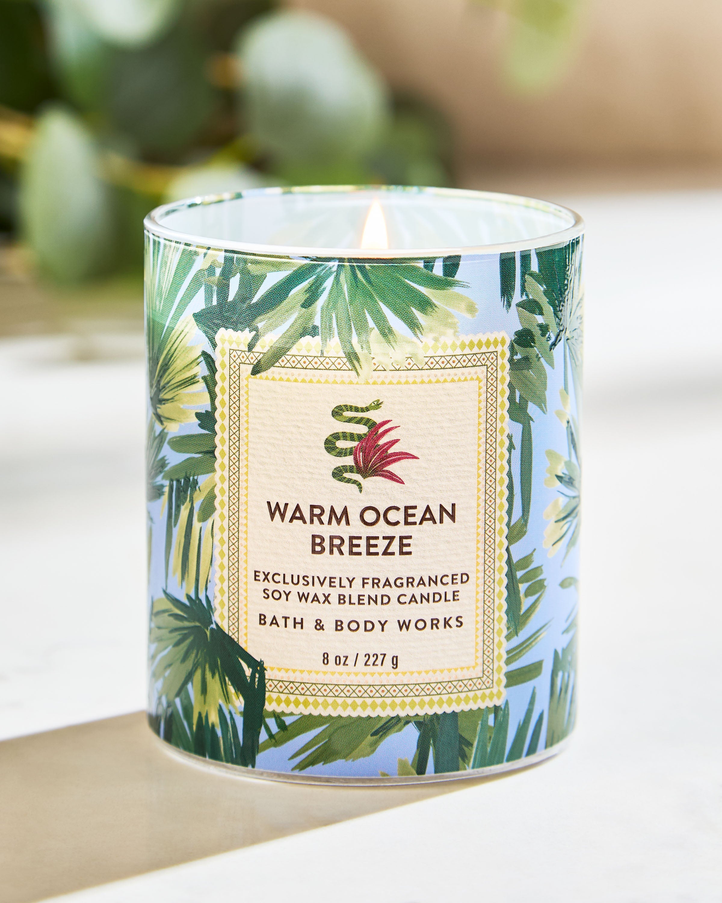 Warm Ocean Breeze Single Wick Candle